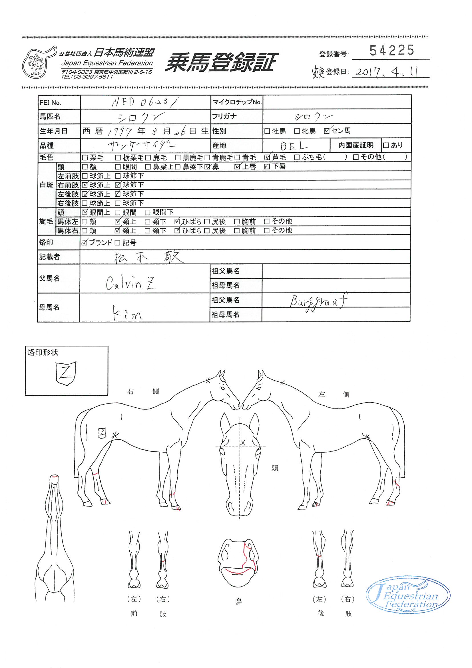 公益社団法人 日本馬術連盟 《Japan Equestrian Federation