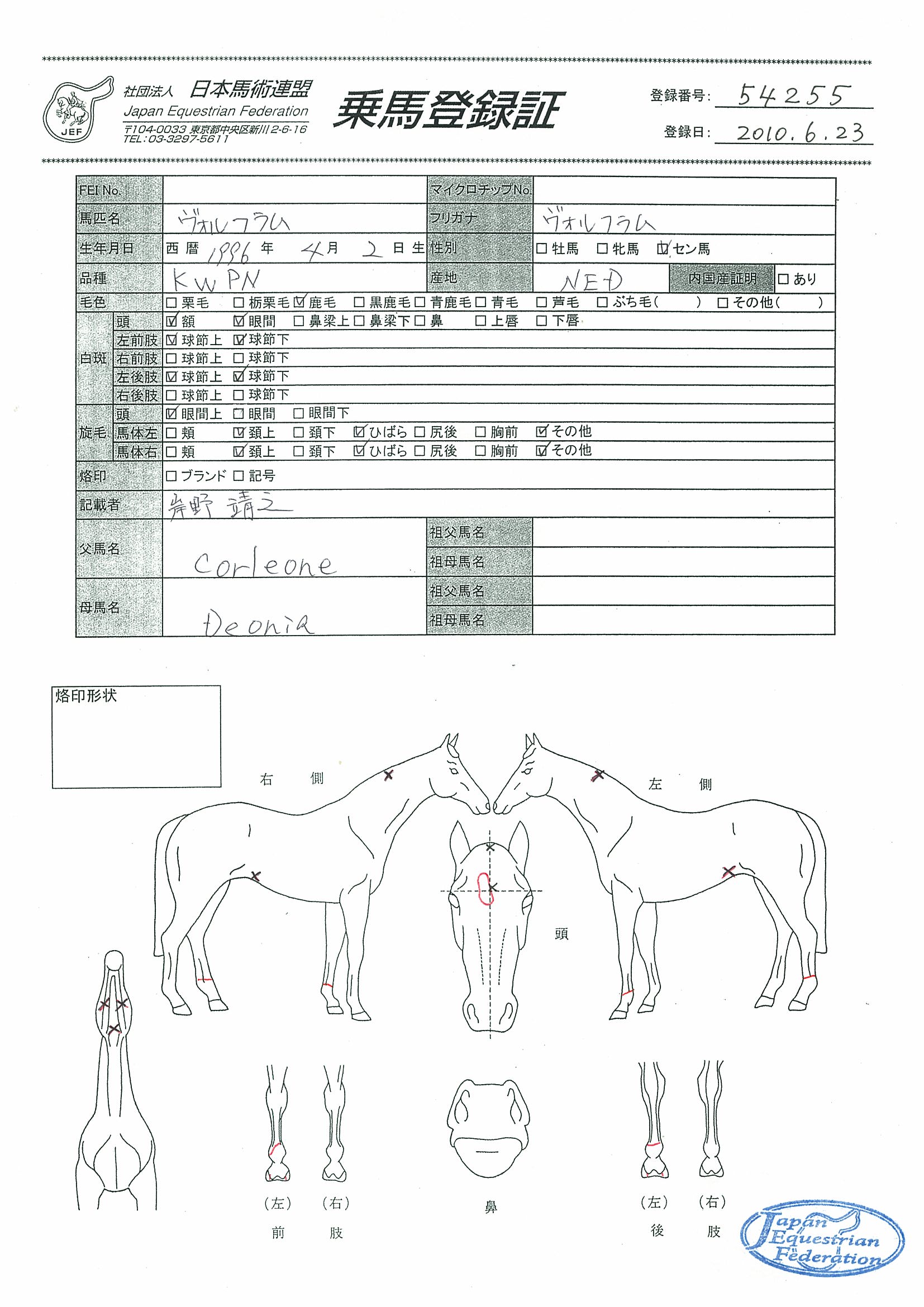 乗馬登録証