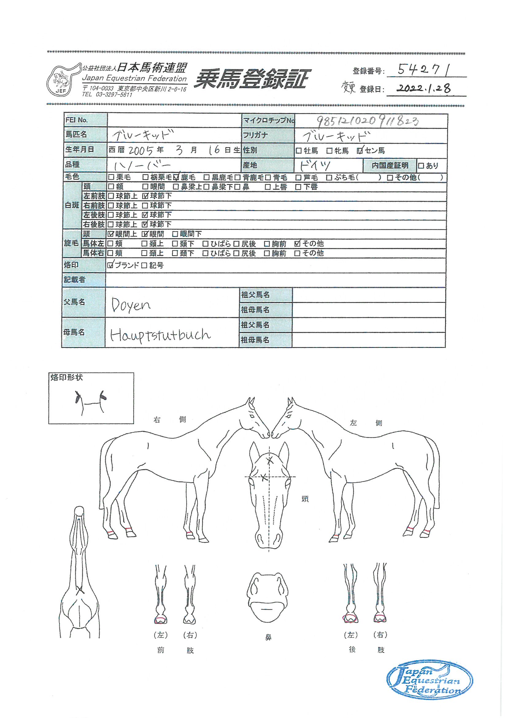 乗馬登録証