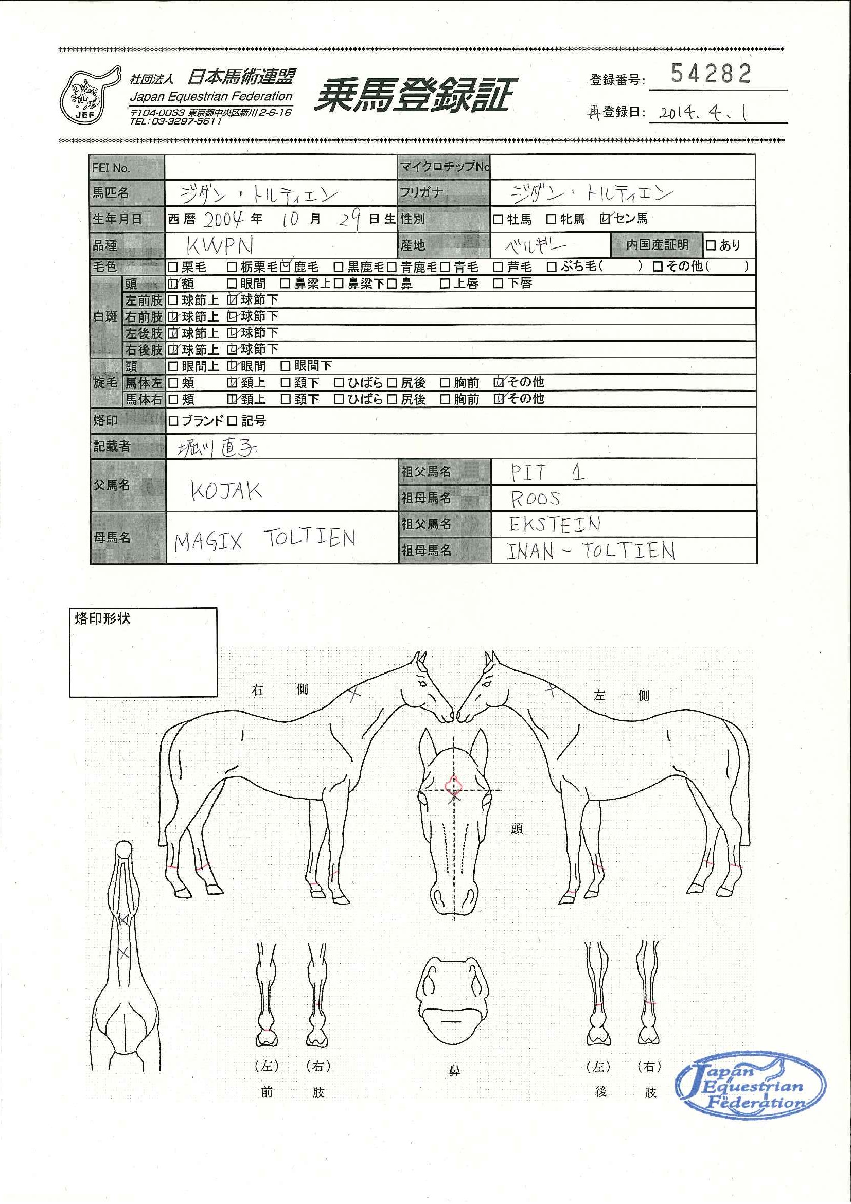 乗馬登録証