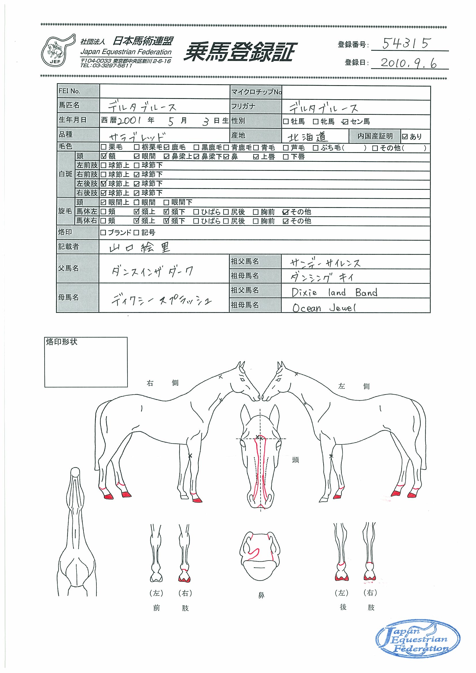乗馬登録証