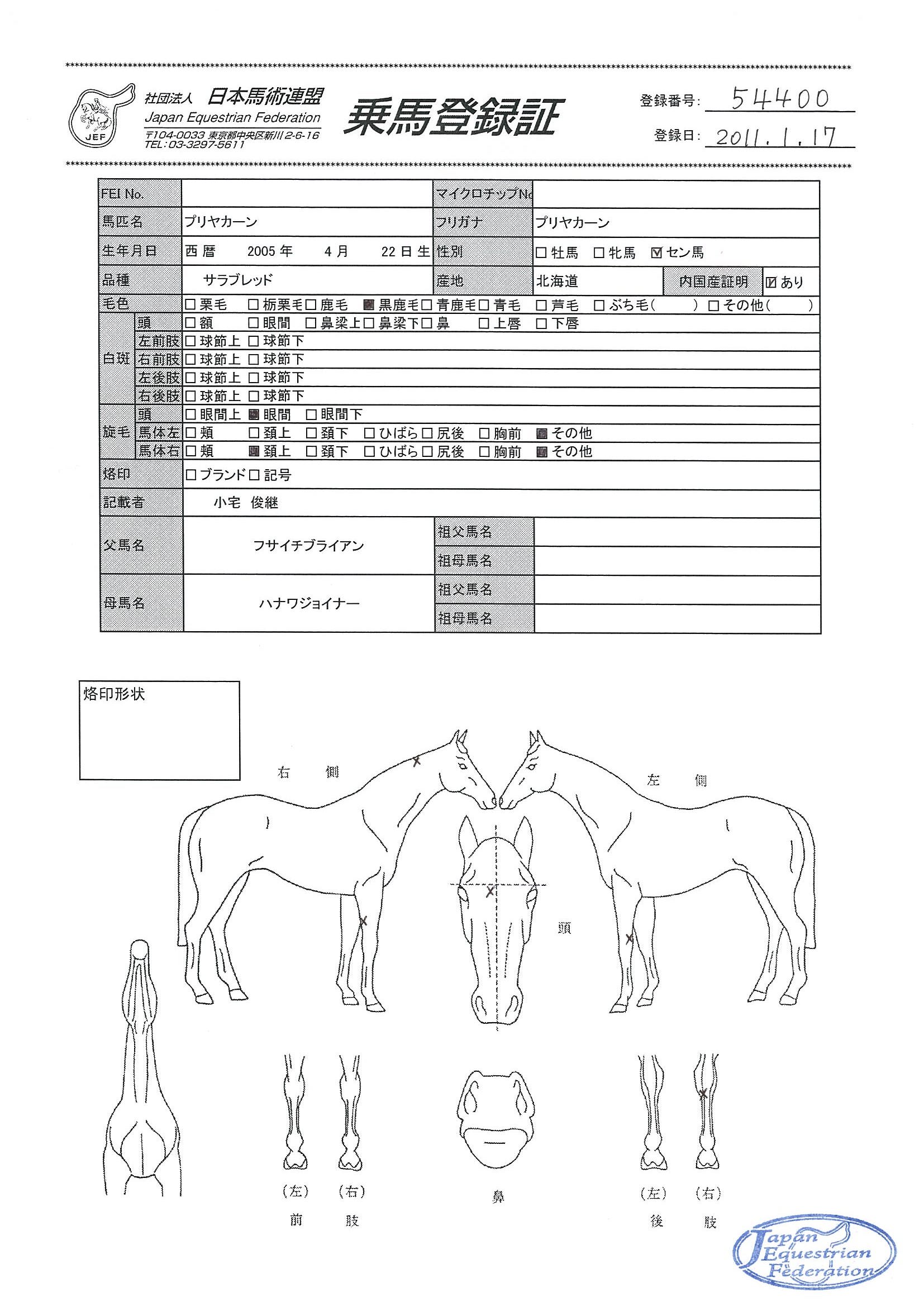 乗馬登録証
