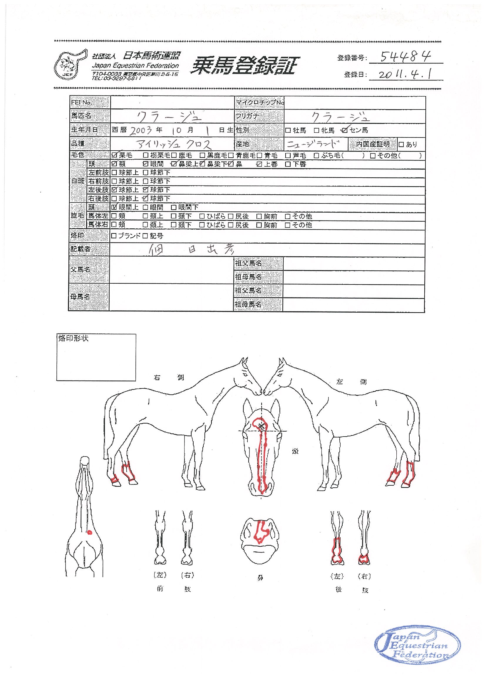 乗馬登録証