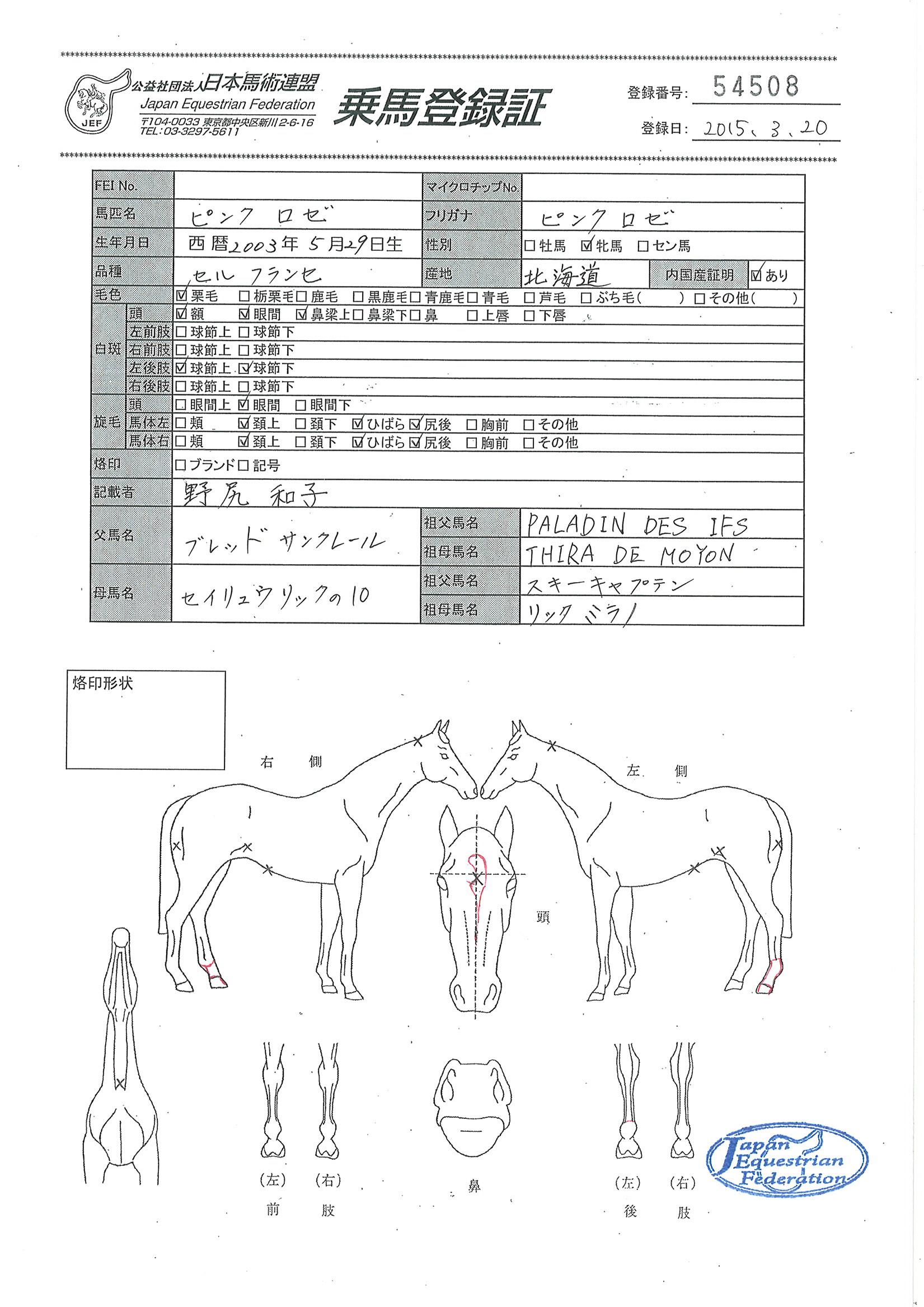 日本の競馬〈1〉法令等の変遷及び主要事項 公益社団法人 日本馬術連盟 《Japan Equestrian Federation