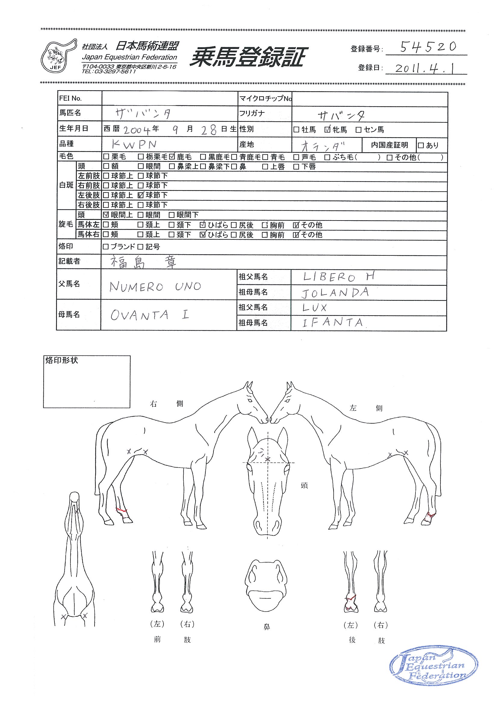 乗馬登録証