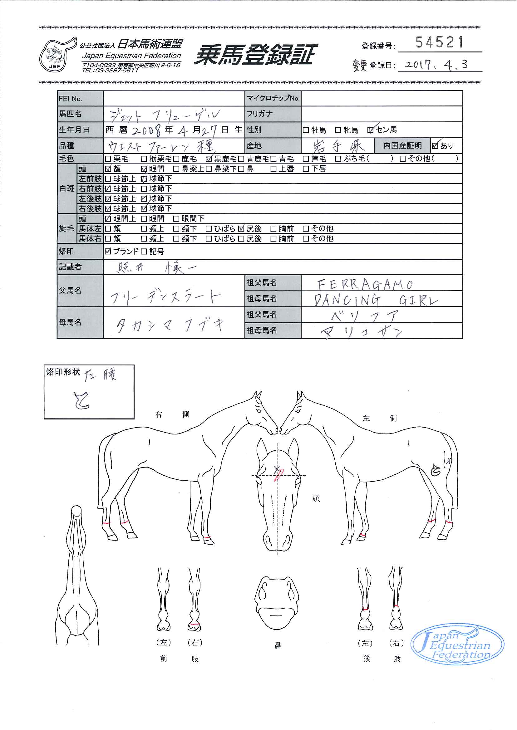 乗馬登録証