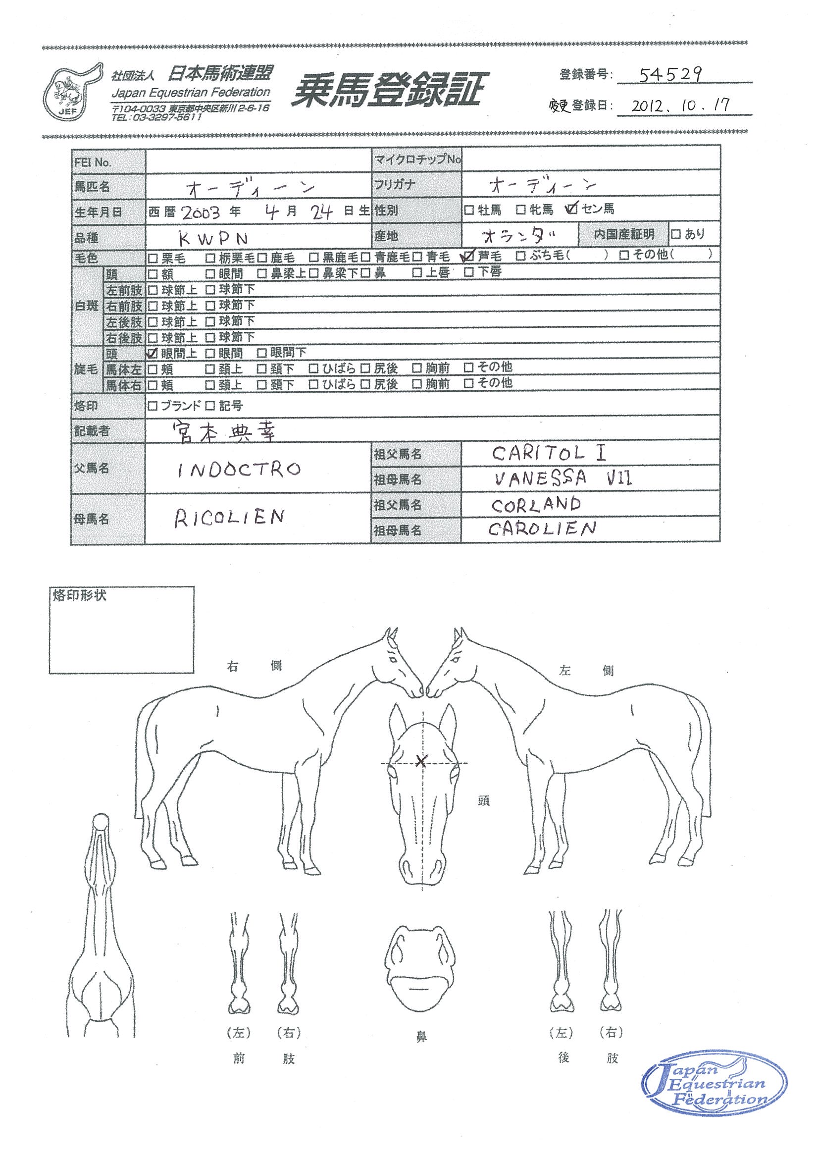 乗馬登録証