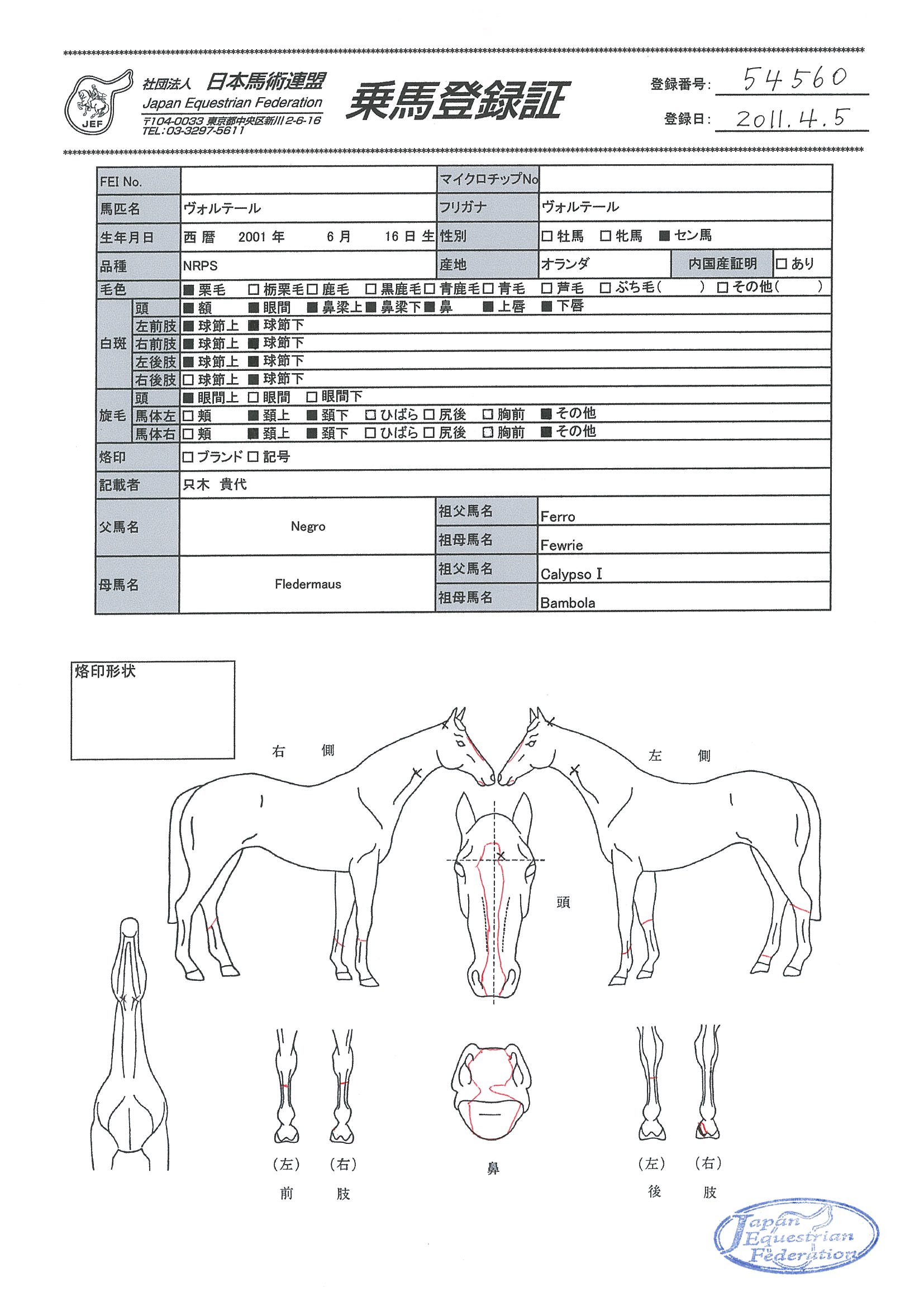 乗馬登録証