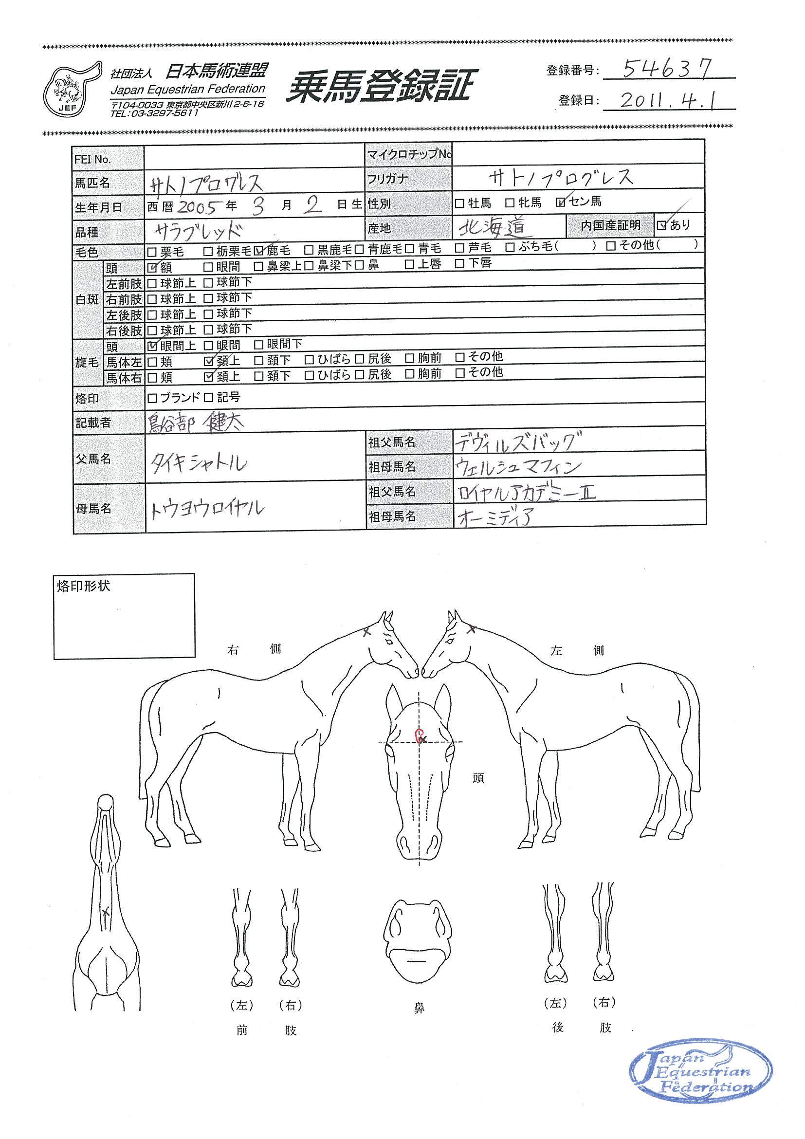 乗馬登録証