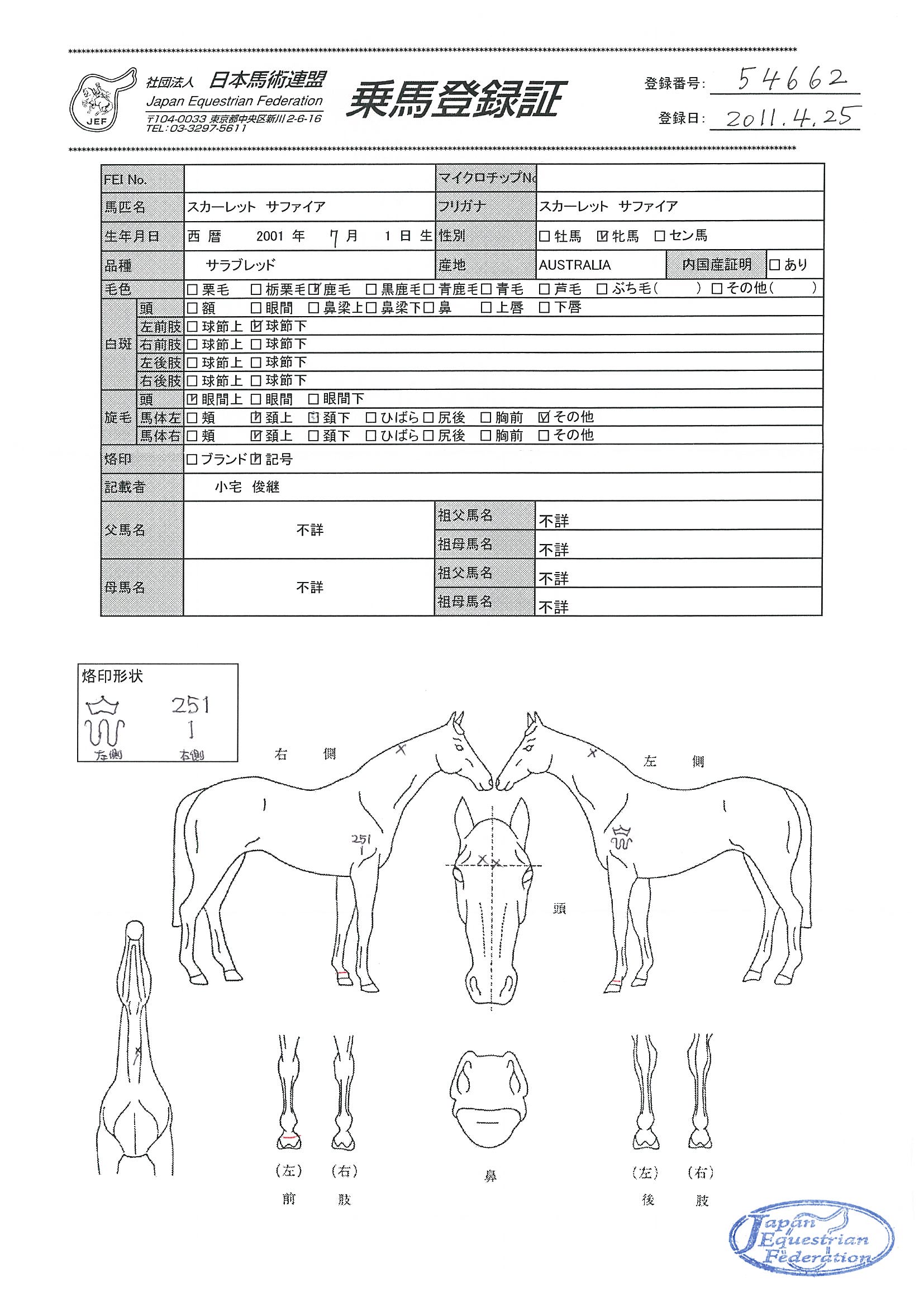 乗馬登録証