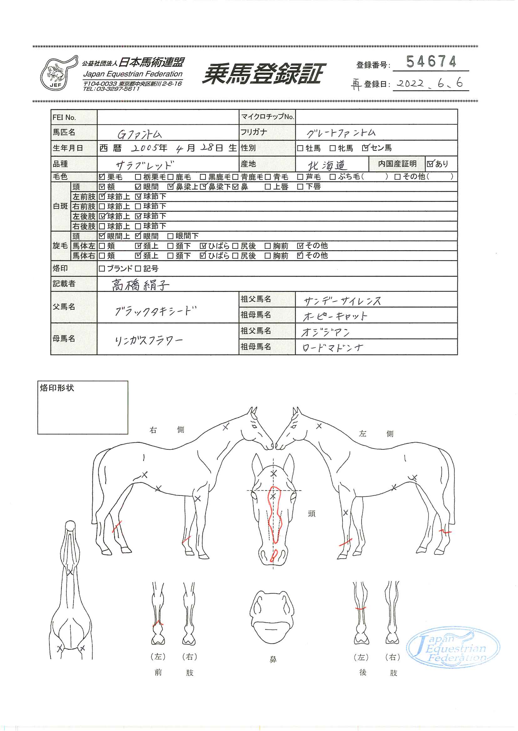 公益社団法人 日本馬術連盟 《Japan Equestrian Federation