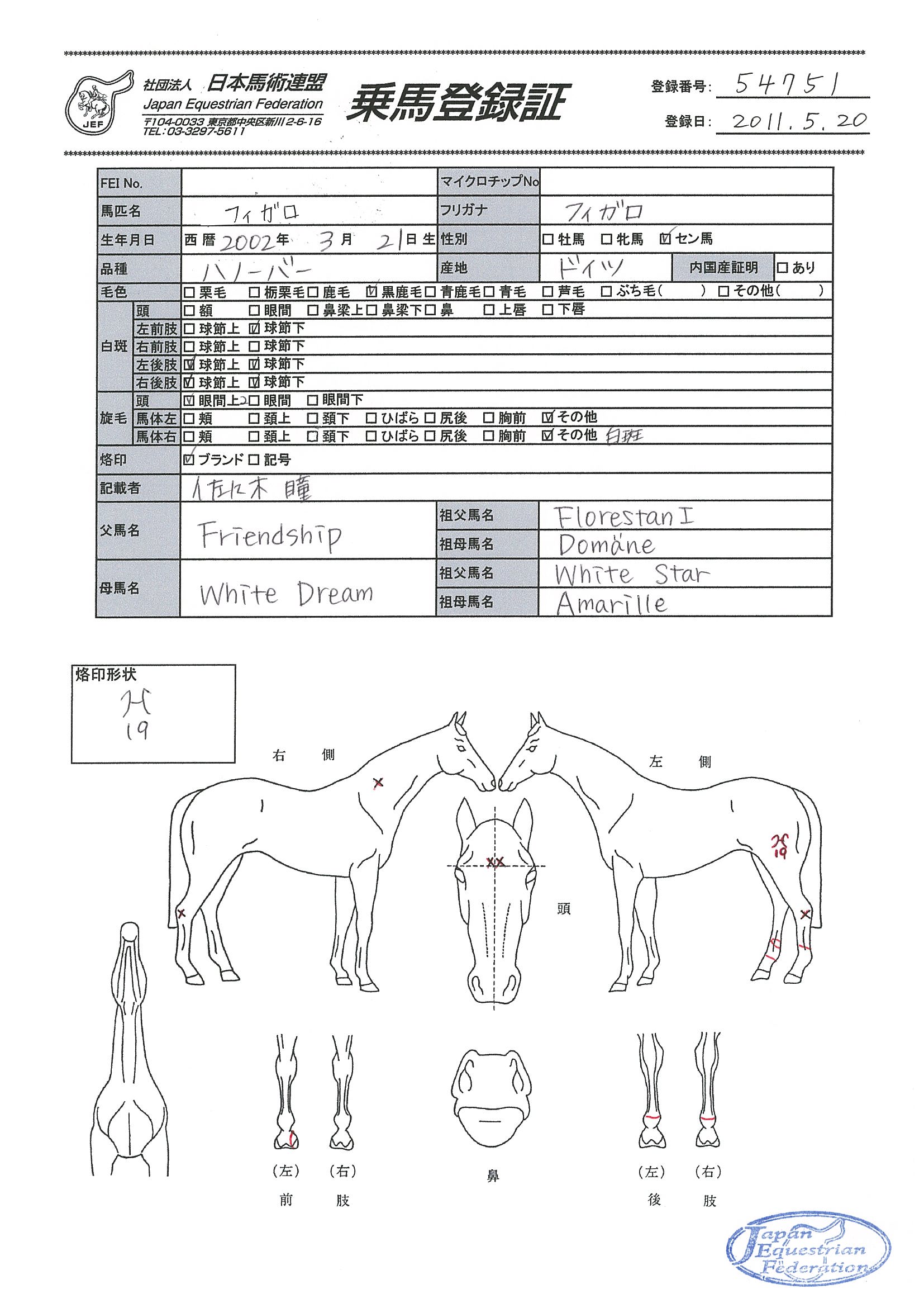 乗馬登録証