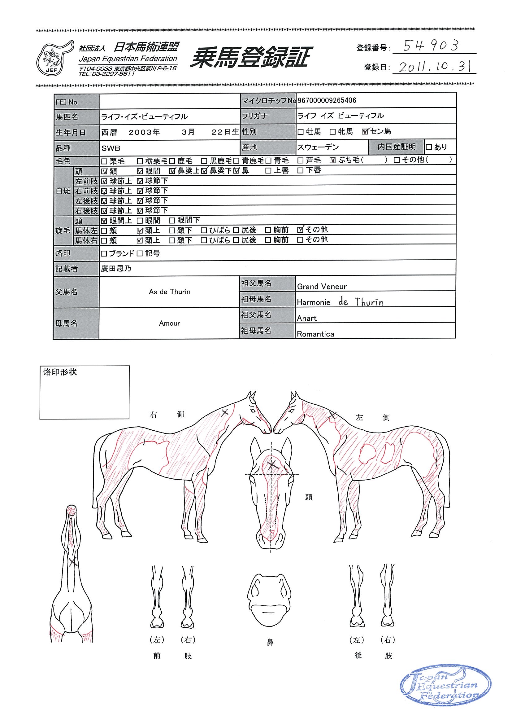 乗馬登録証