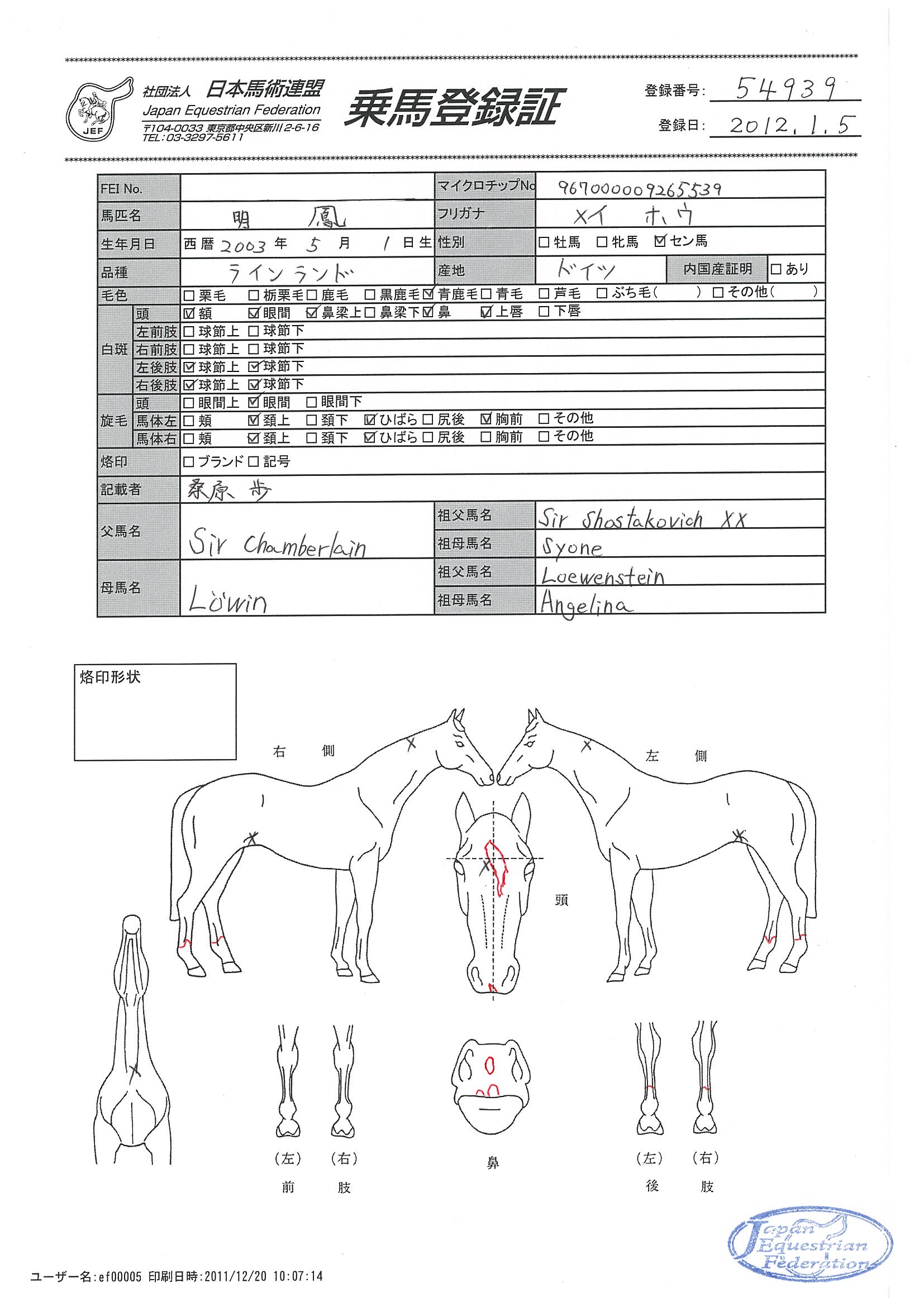 公益社団法人 日本馬術連盟 《Japan Equestrian Federation
