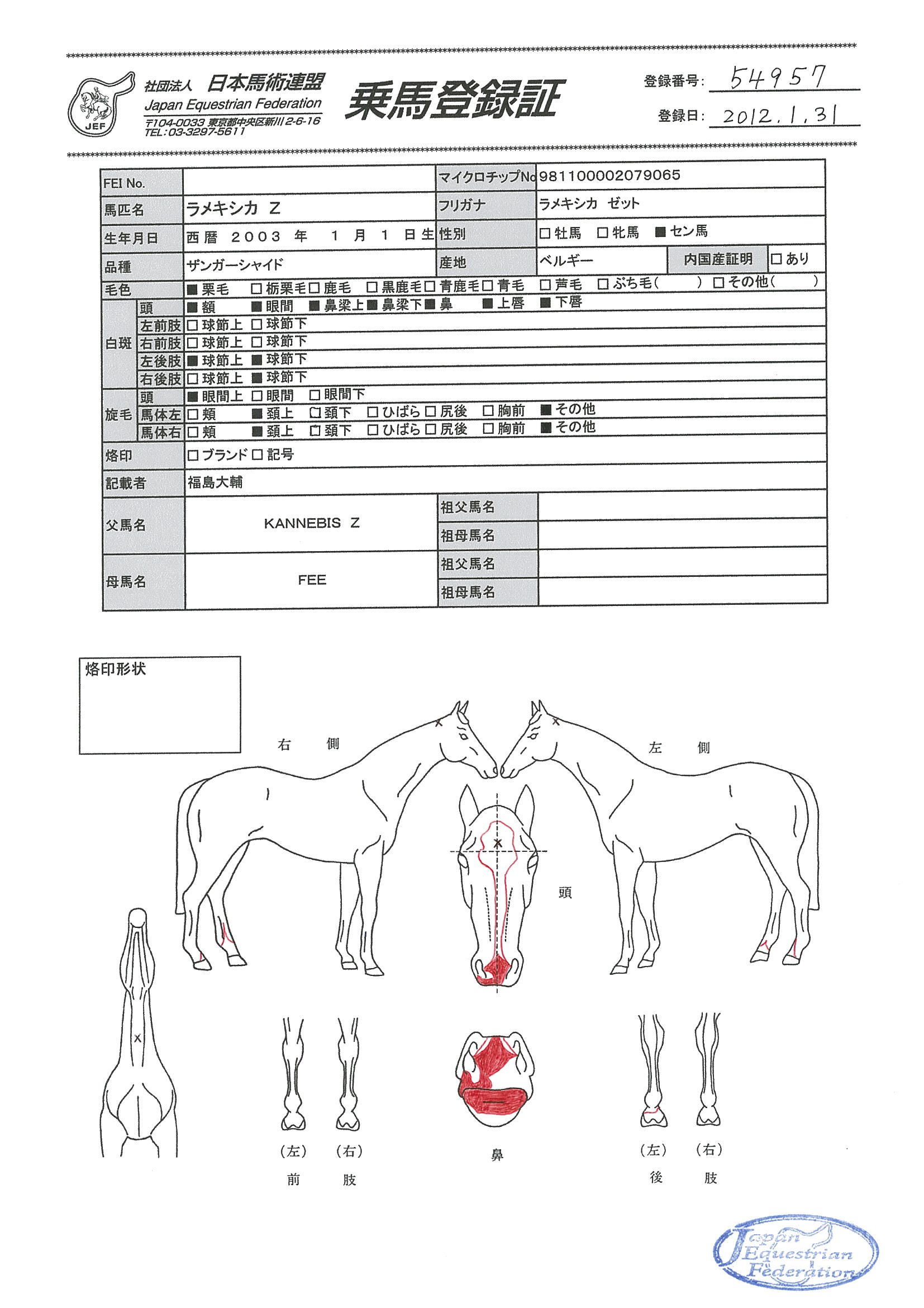 公益社団法人 日本馬術連盟 《Japan Equestrian Federation