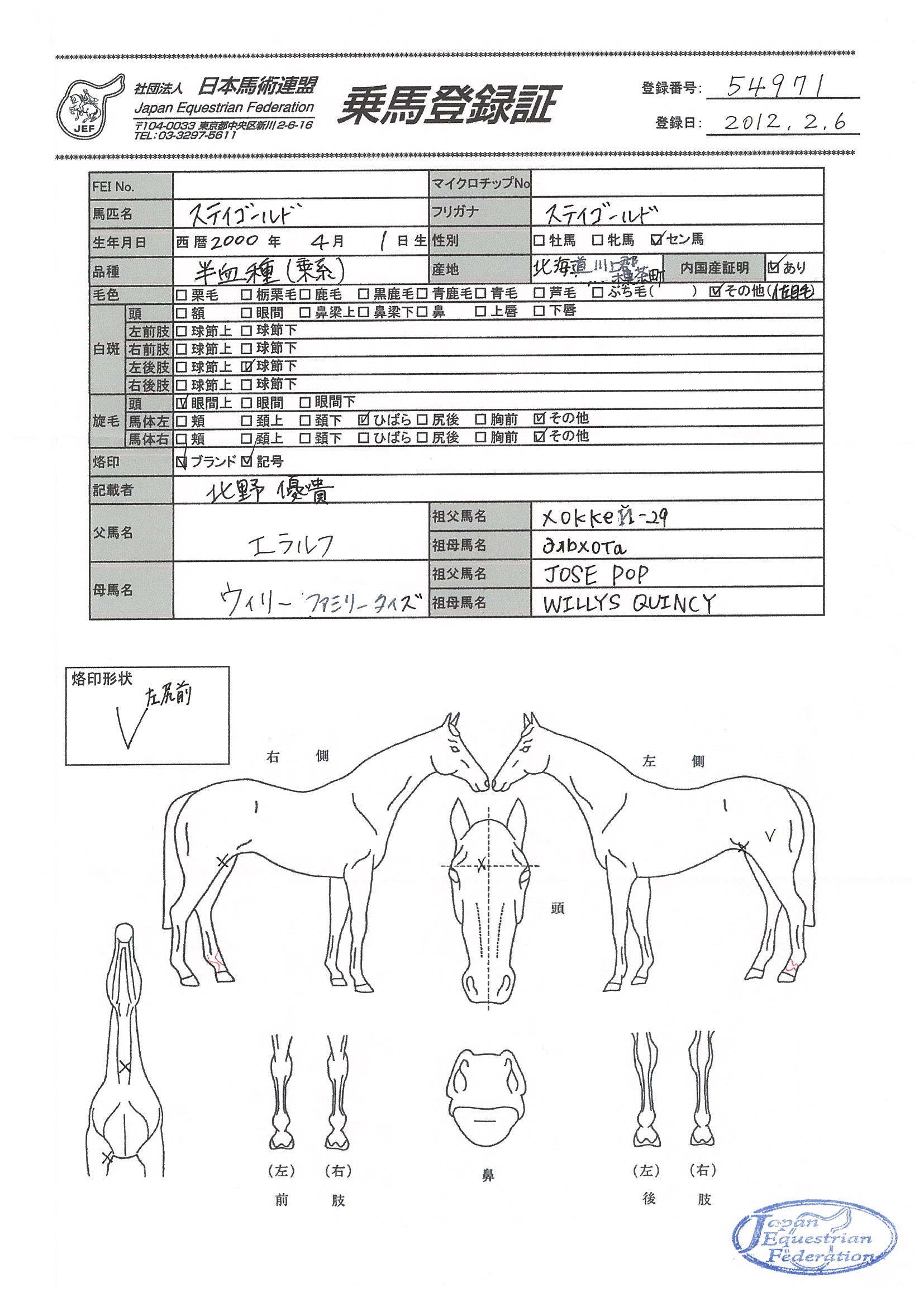 公益社団法人 日本馬術連盟 《Japan Equestrian Federation