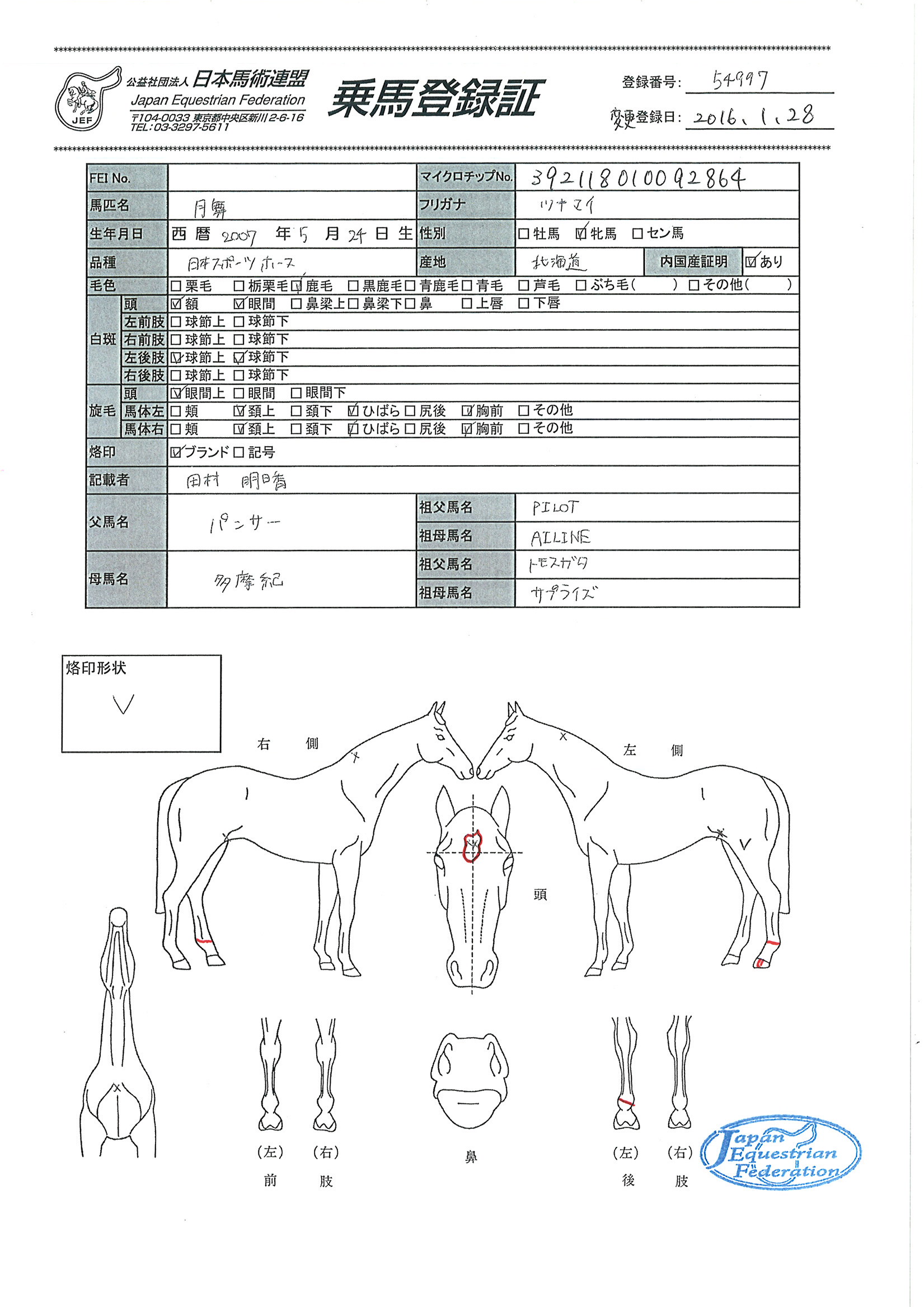 乗馬登録証