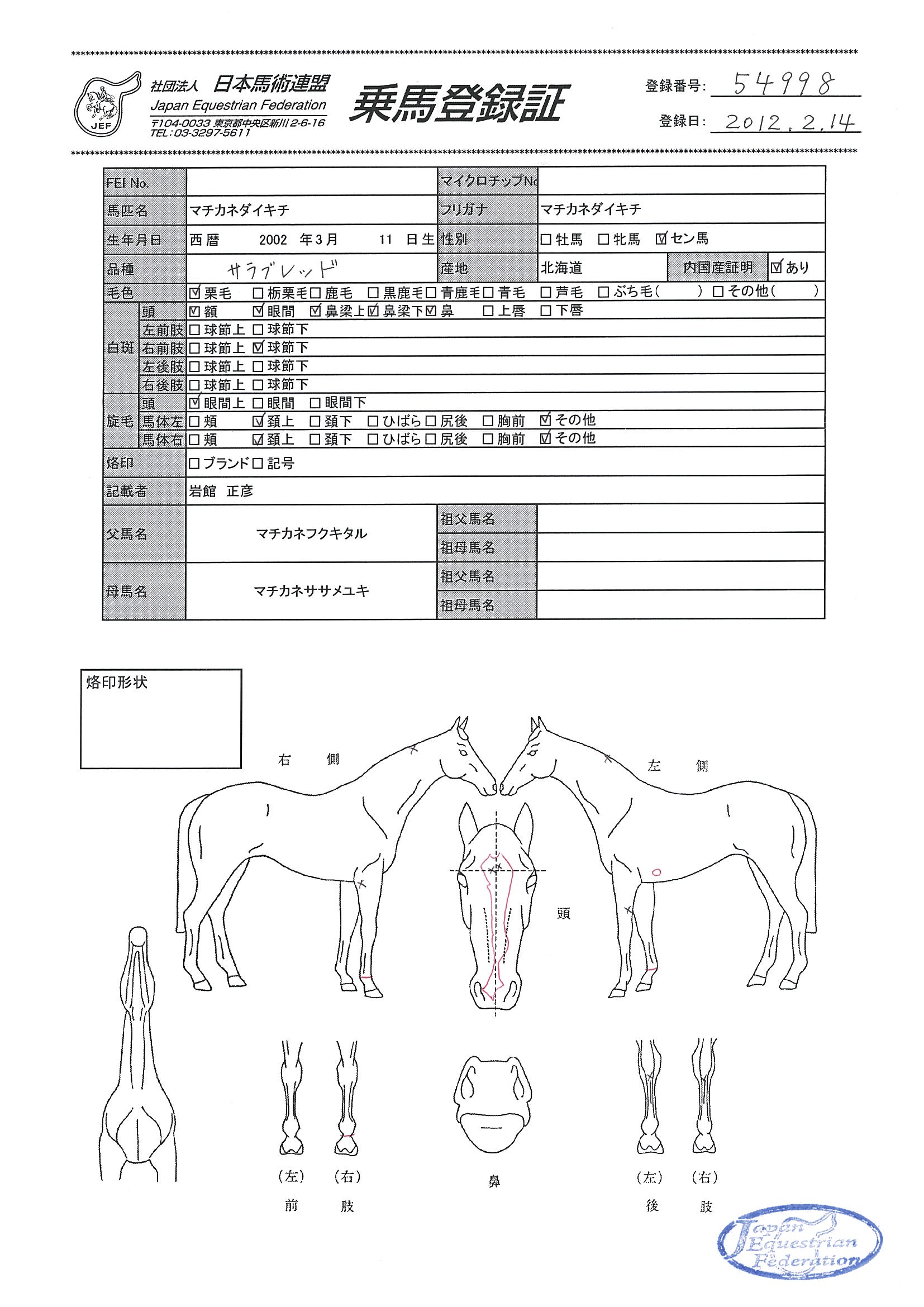 乗馬登録証