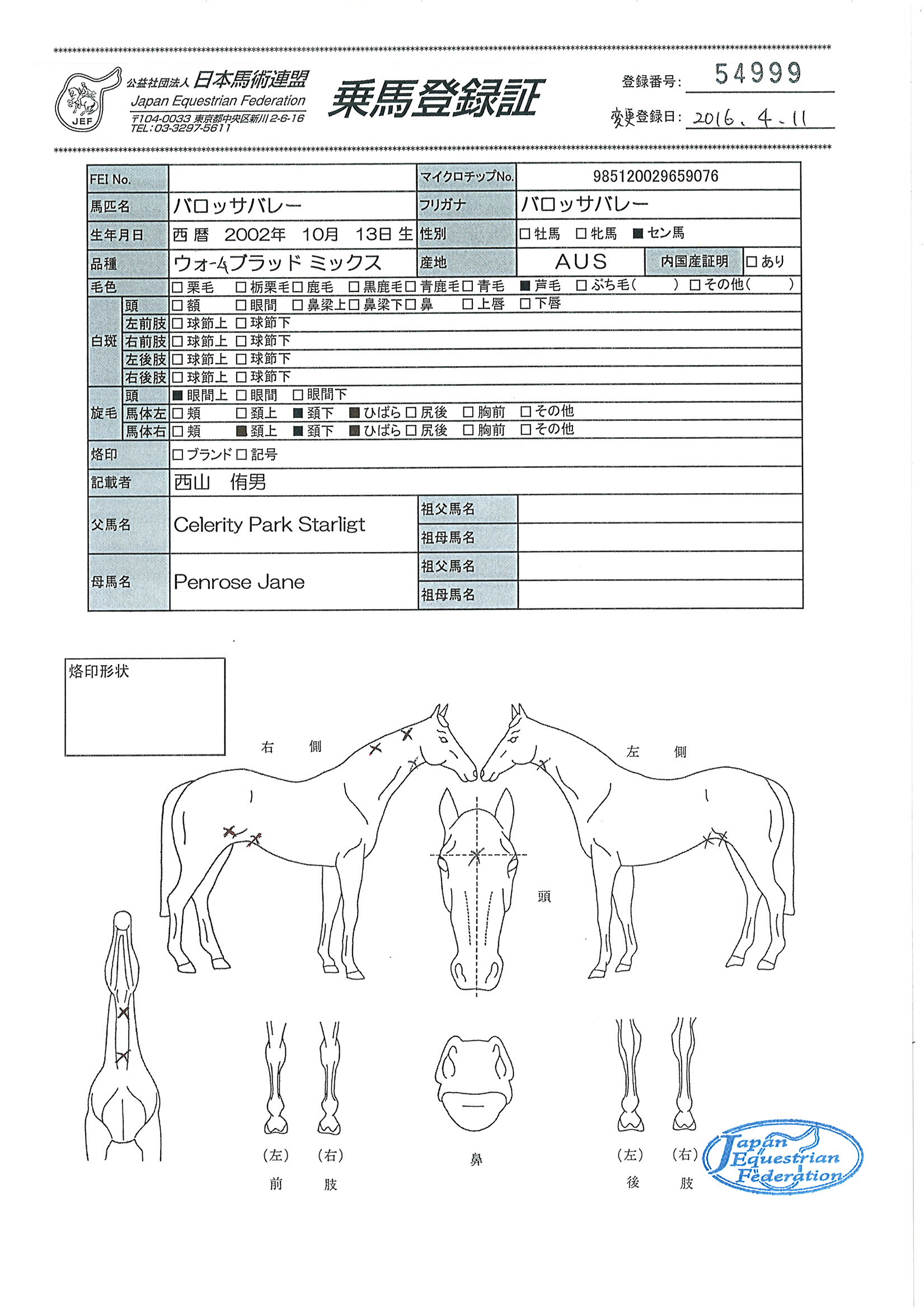 乗馬登録証