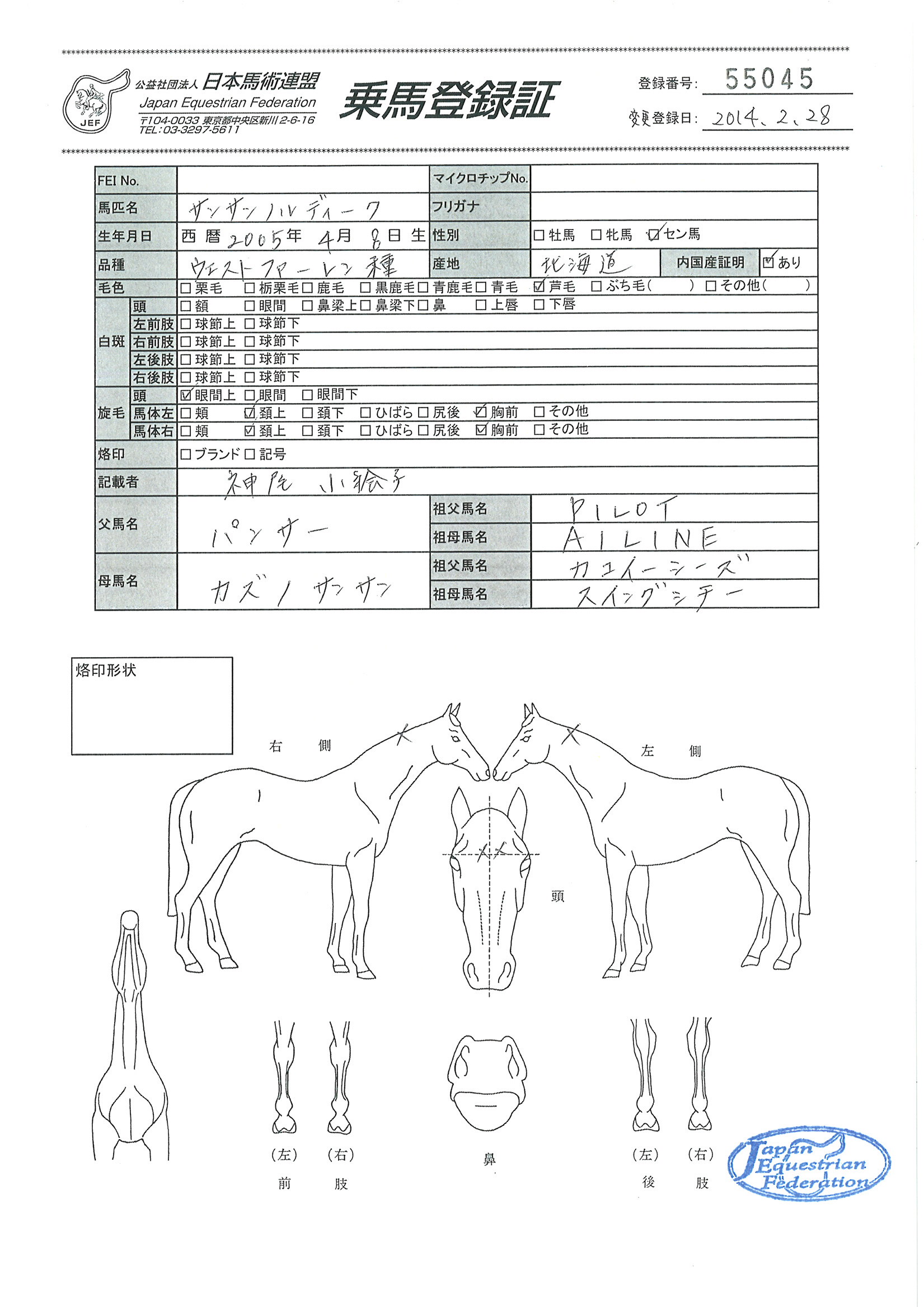 乗馬登録証