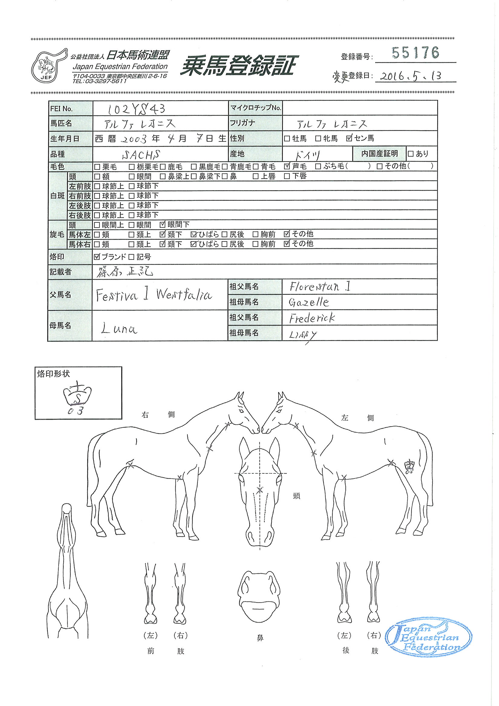 貴重「ボルト氏の馬術」 2025年最新】ボルト氏の馬術の人気アイテム - メルカリ