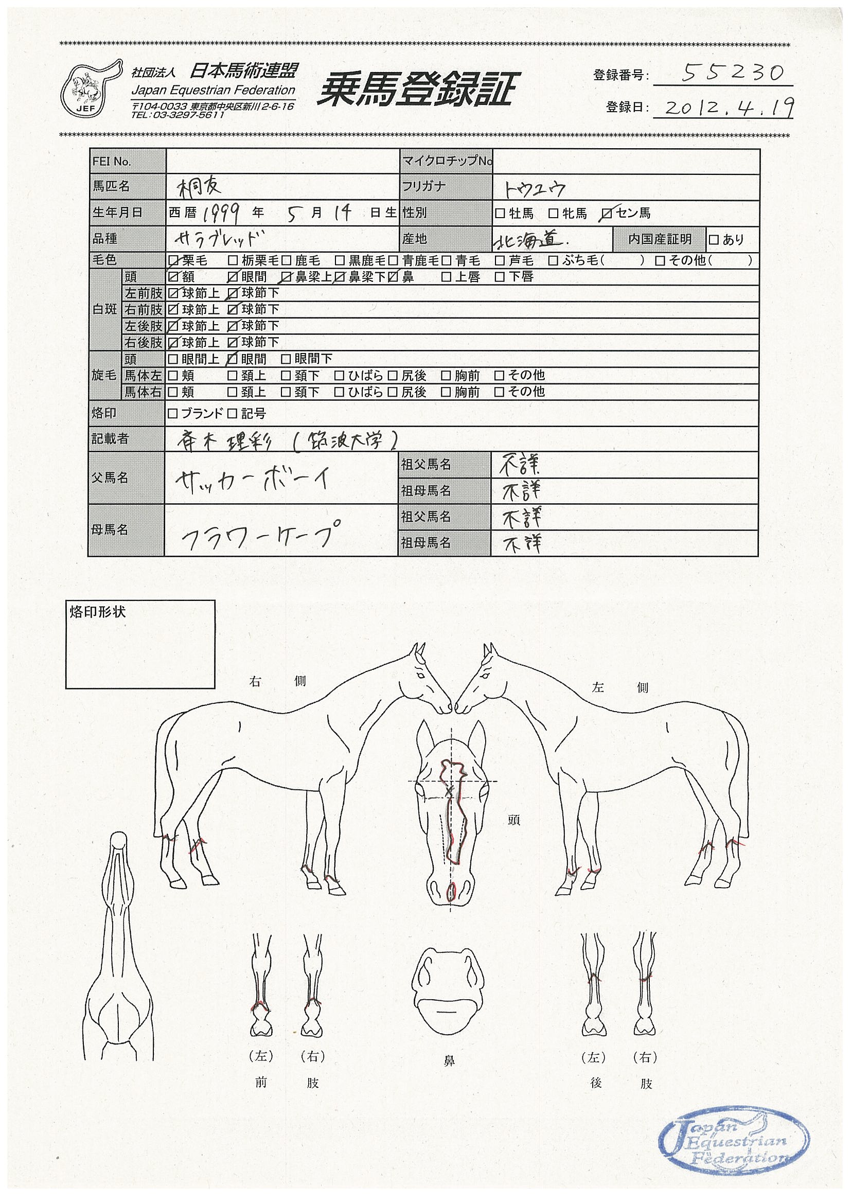乗馬登録証