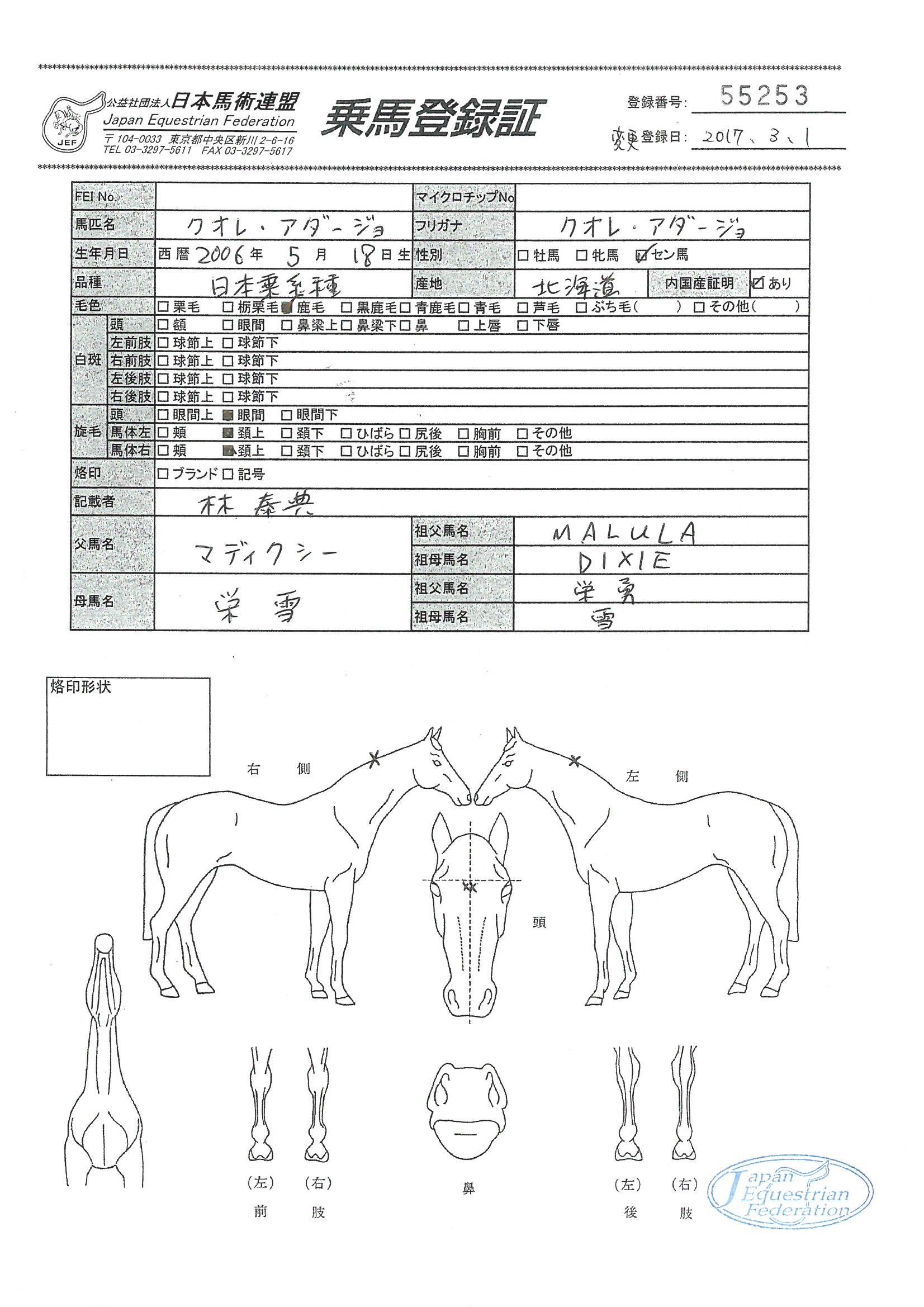 乗馬登録証