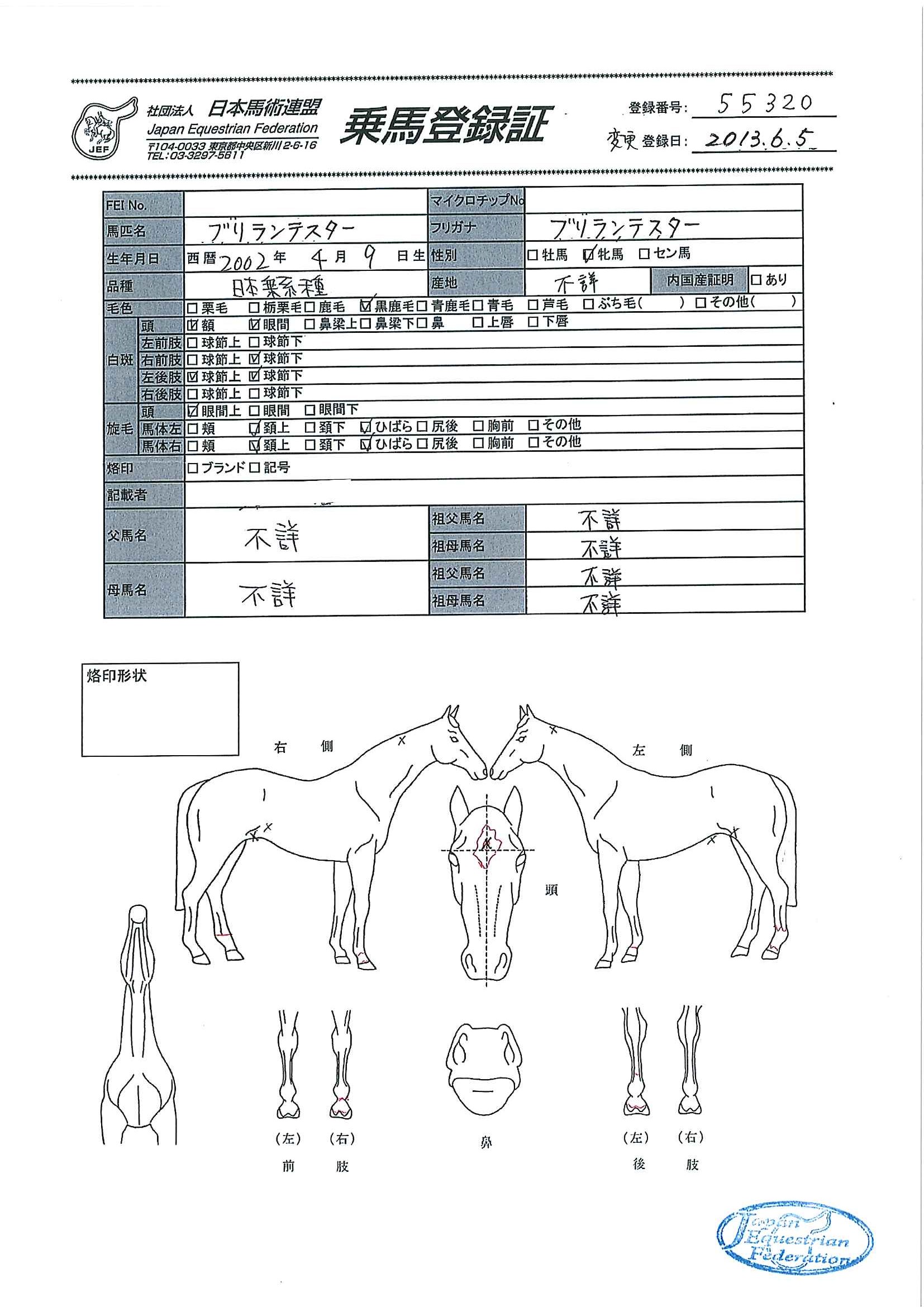 乗馬登録証