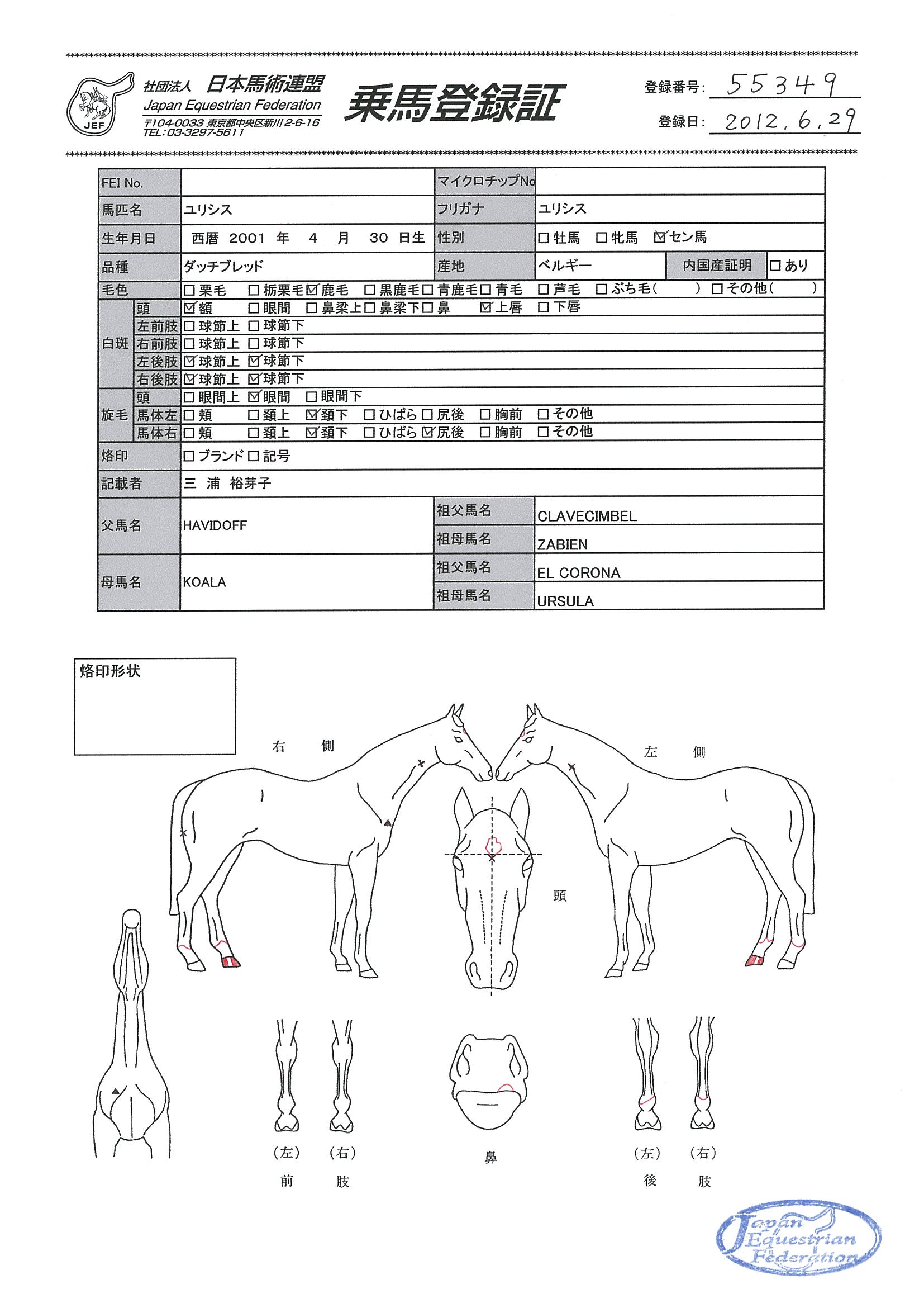 乗馬登録証