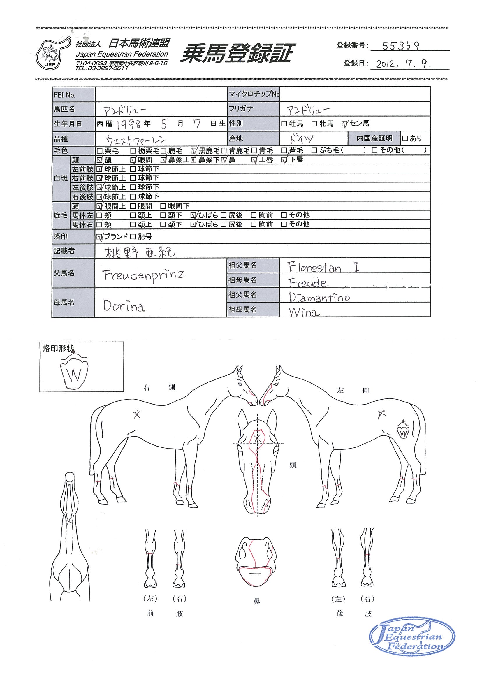 乗馬登録証