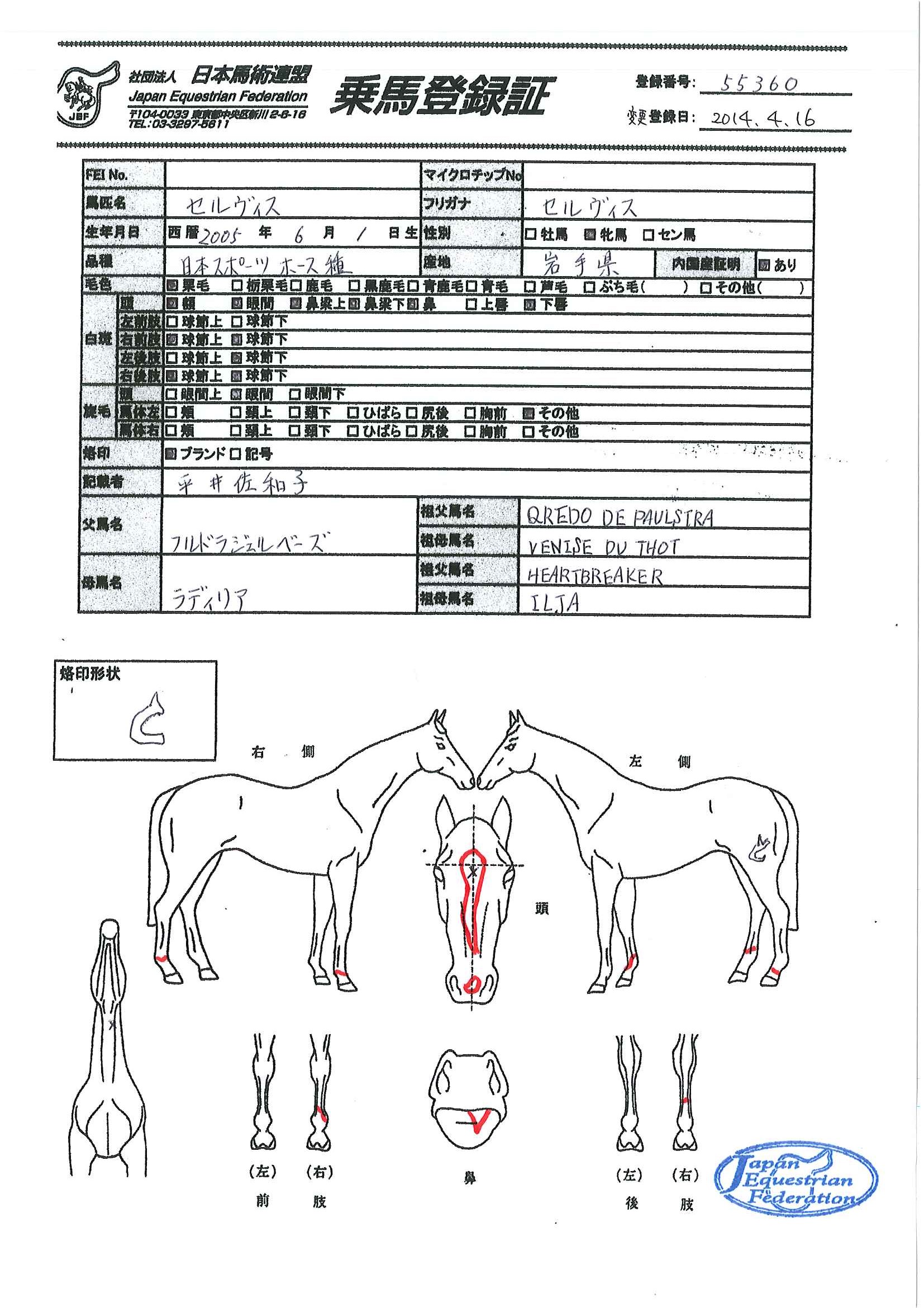乗馬登録証