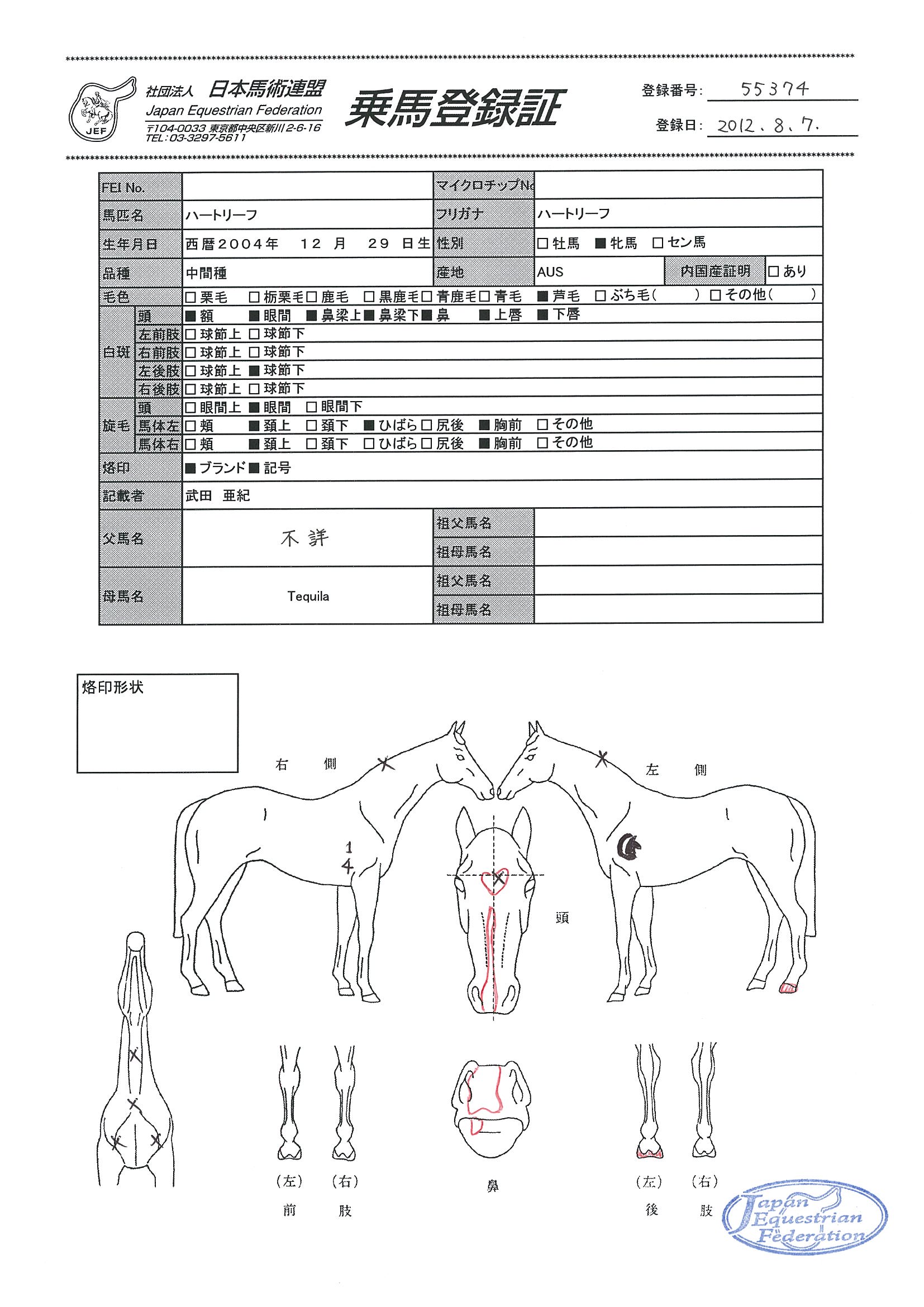 乗馬登録証
