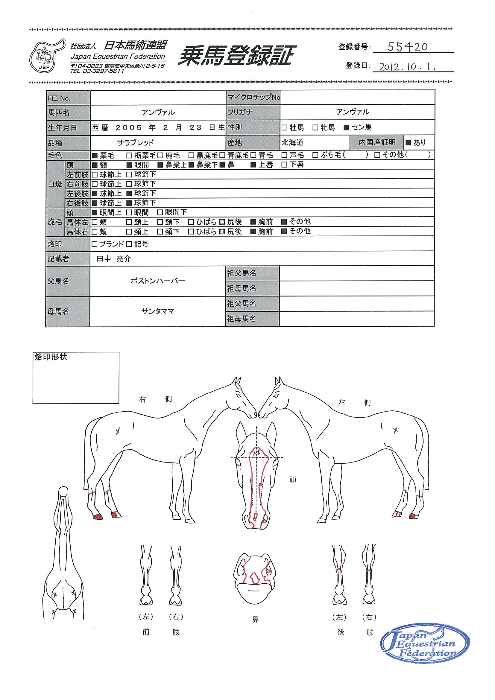 乗馬登録証