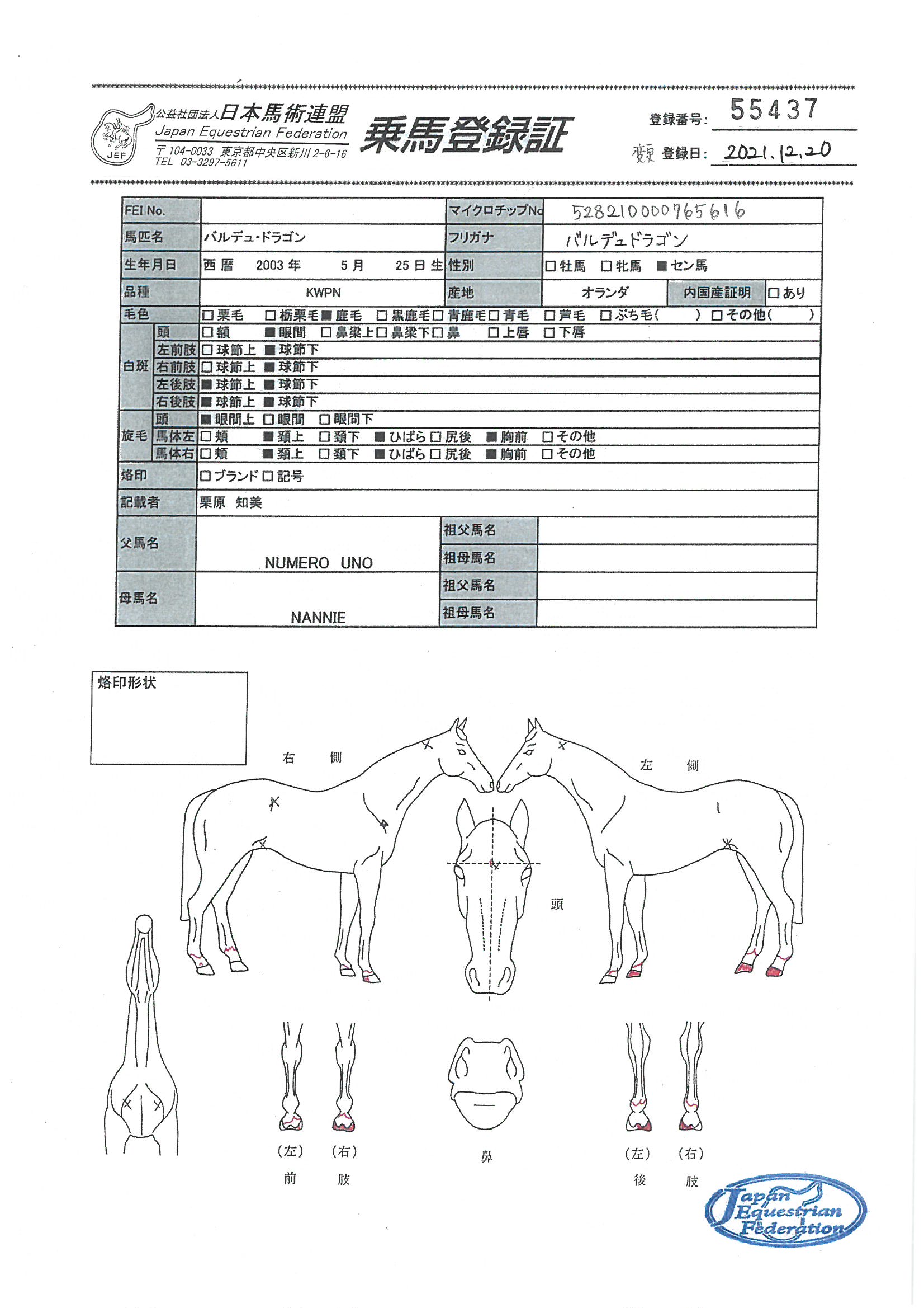 乗馬登録証