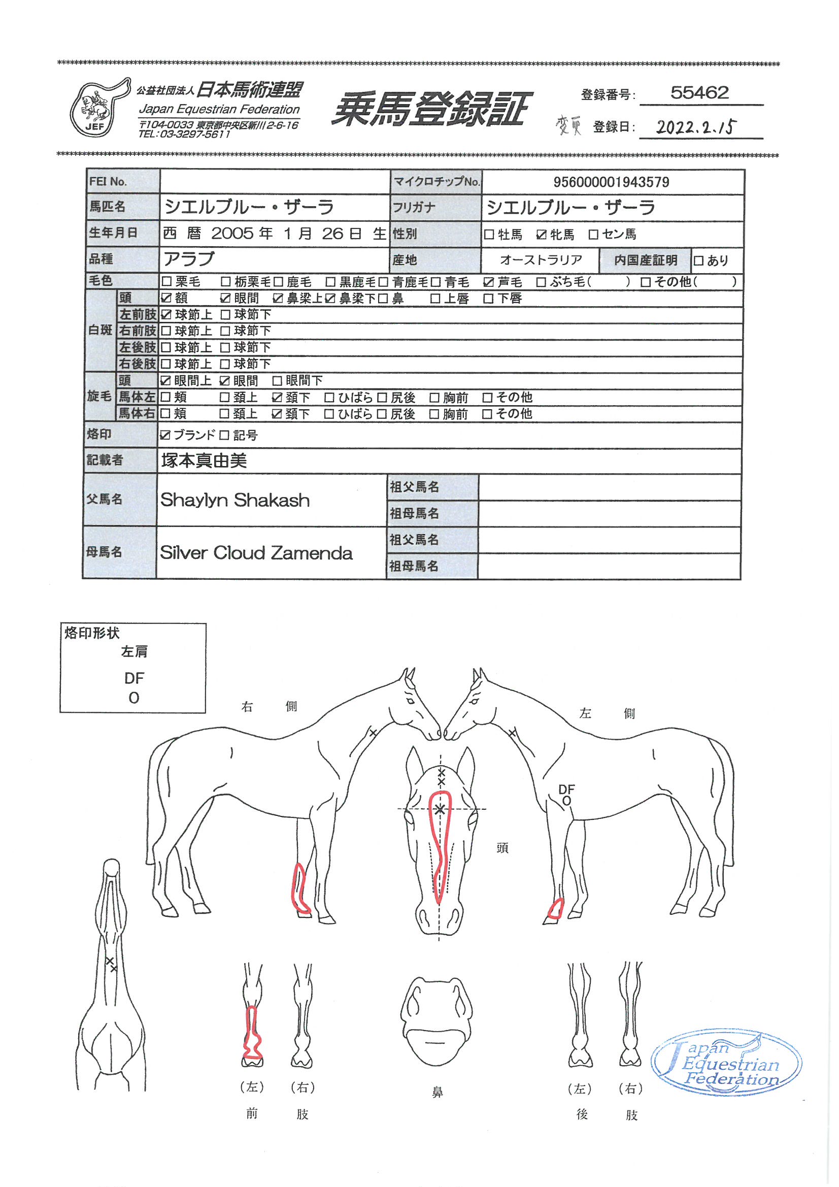 乗馬登録証