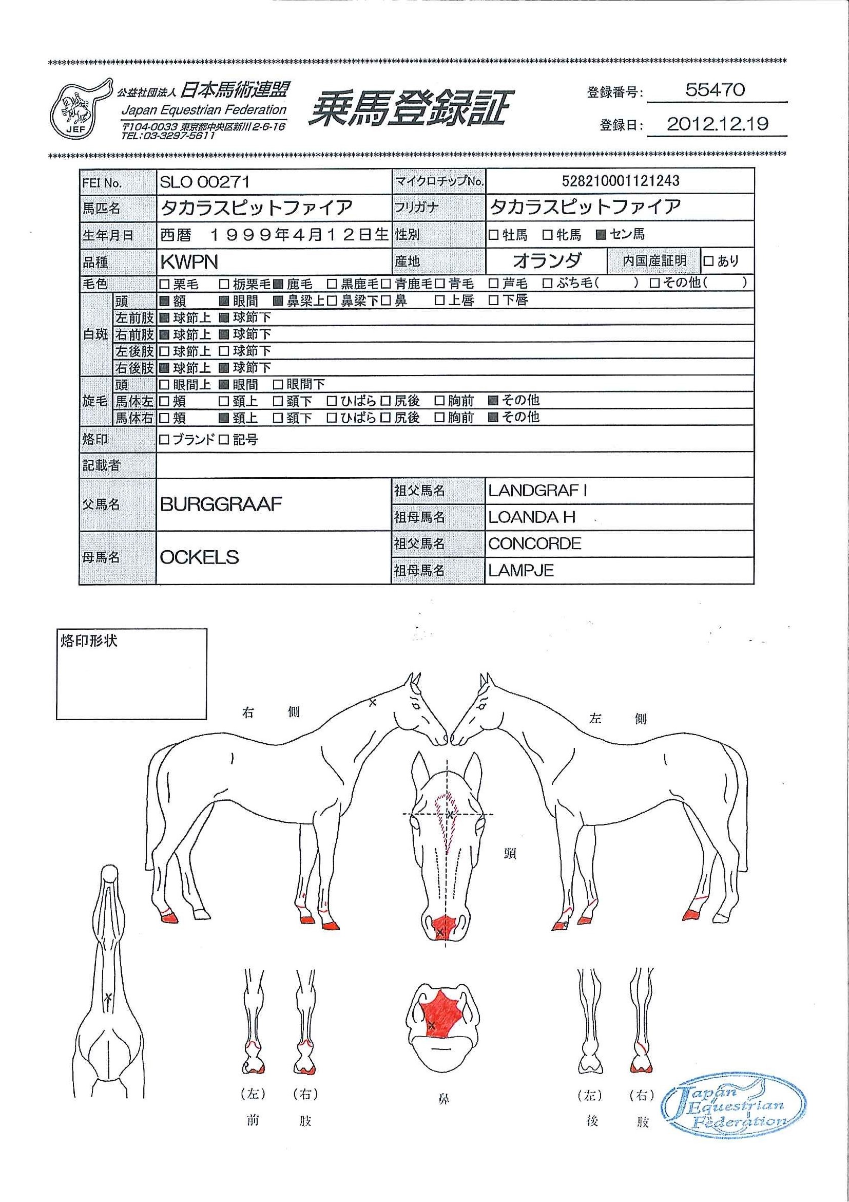 公益社団法人 日本馬術連盟 《Japan Equestrian Federation