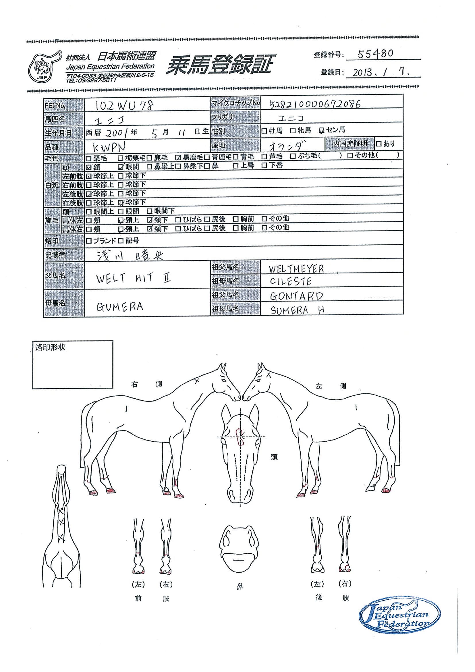 乗馬登録証