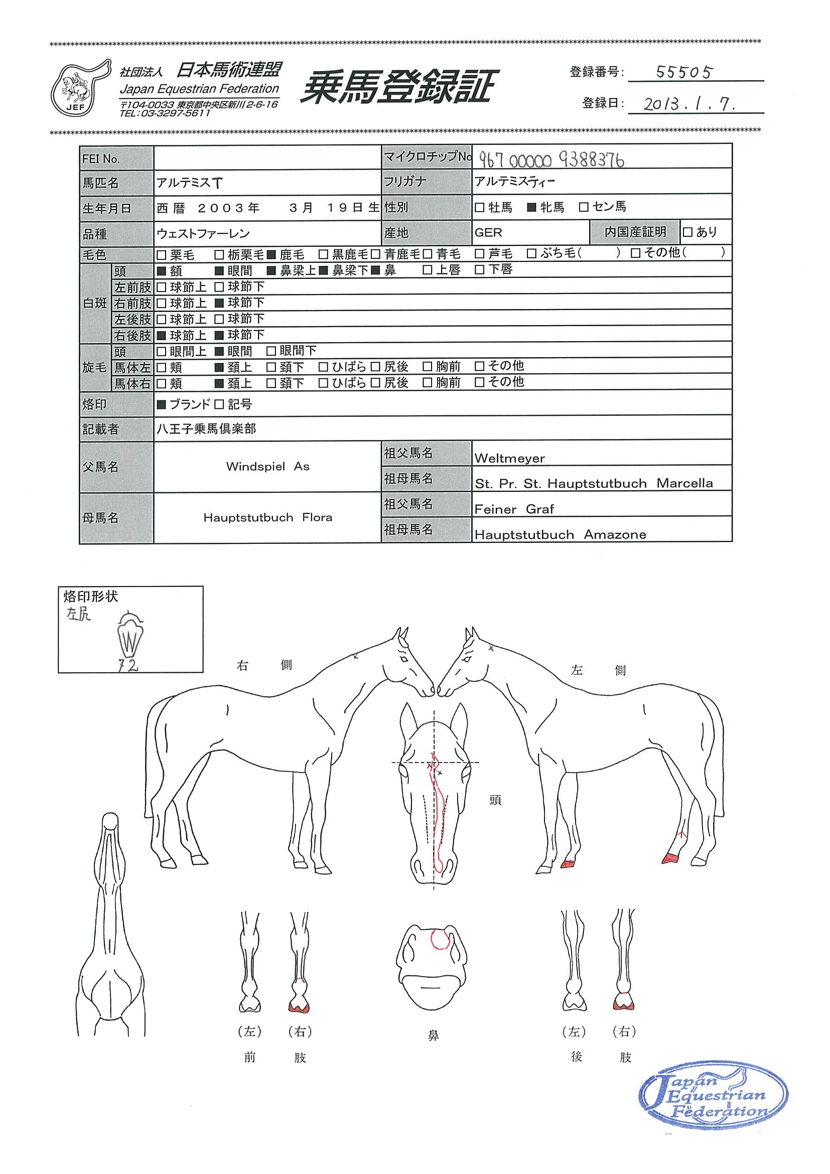 乗馬登録証