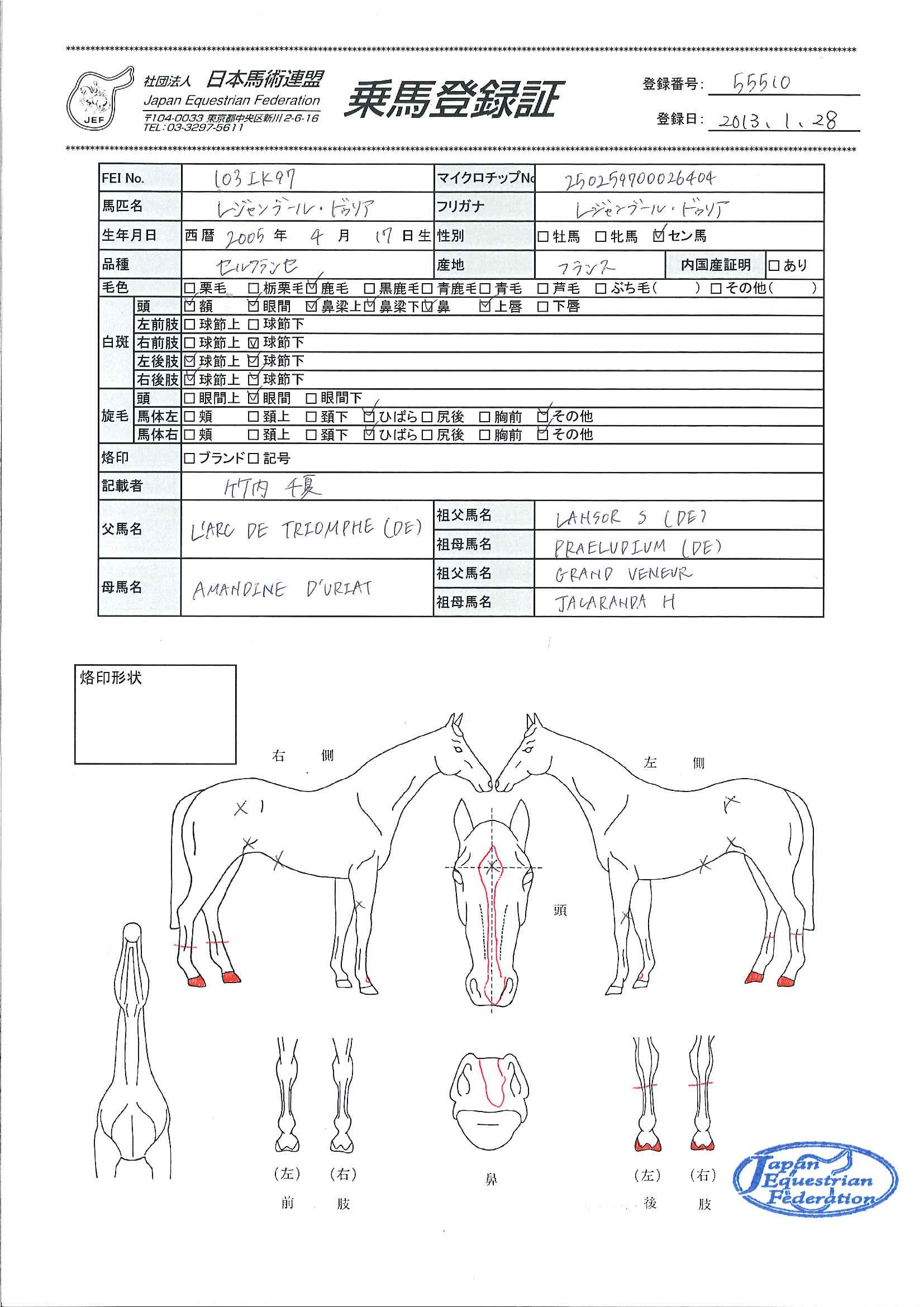 乗馬登録証
