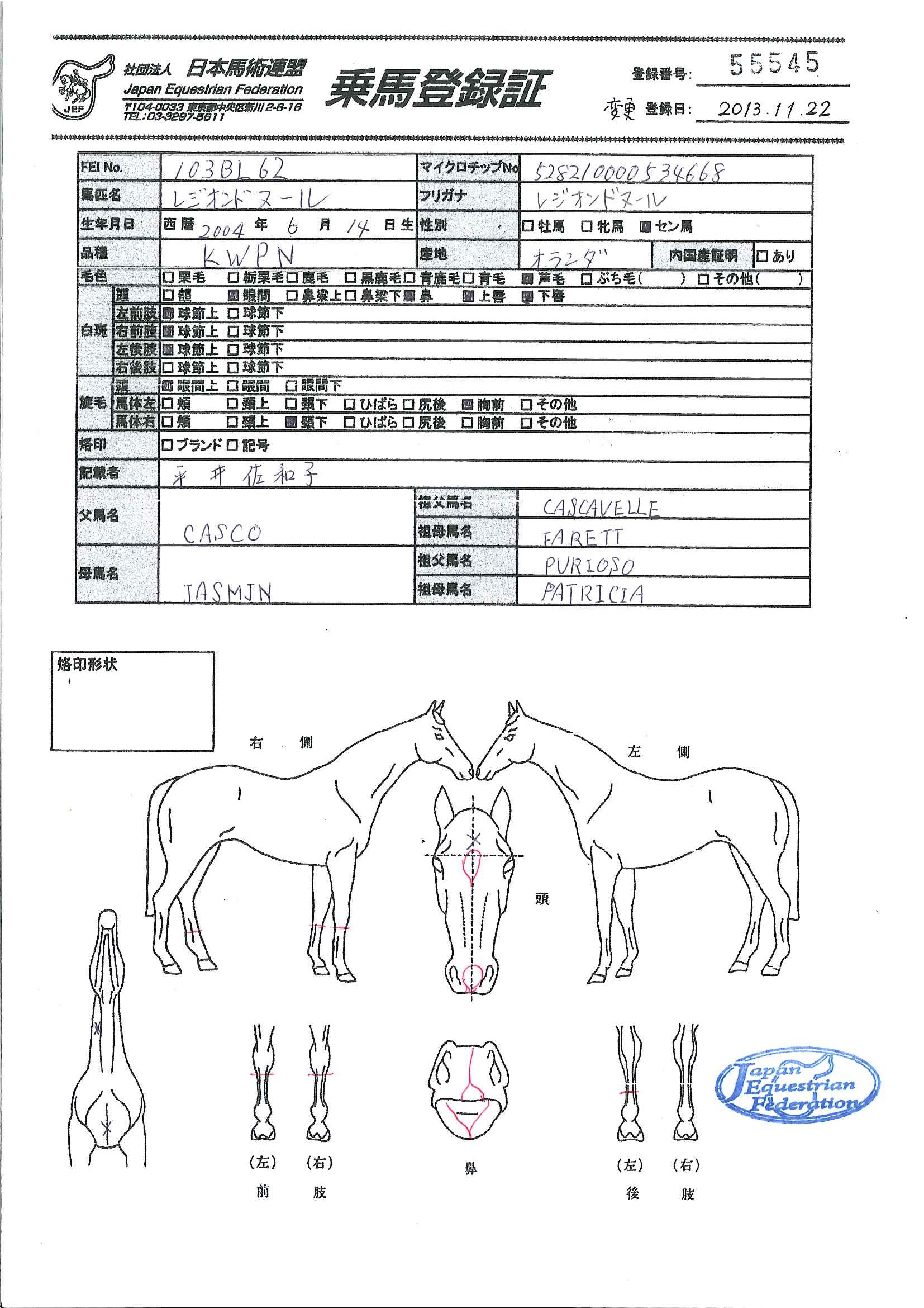 乗馬登録証