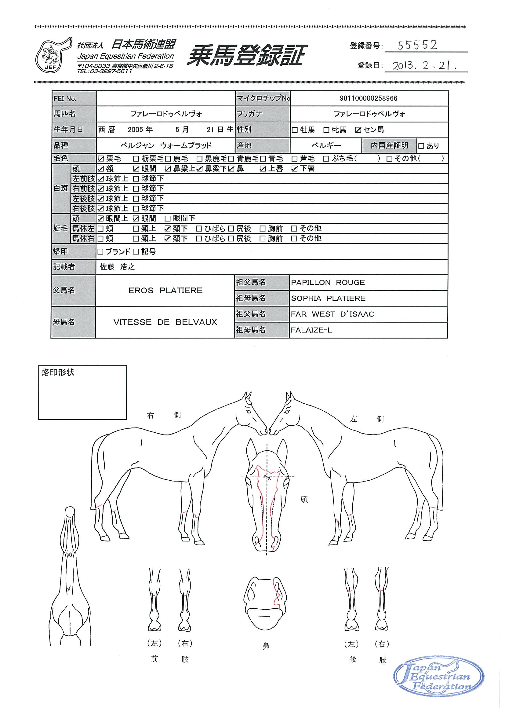 乗馬登録証