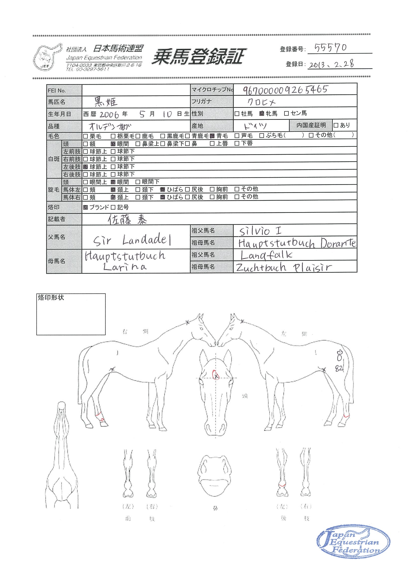 乗馬登録証