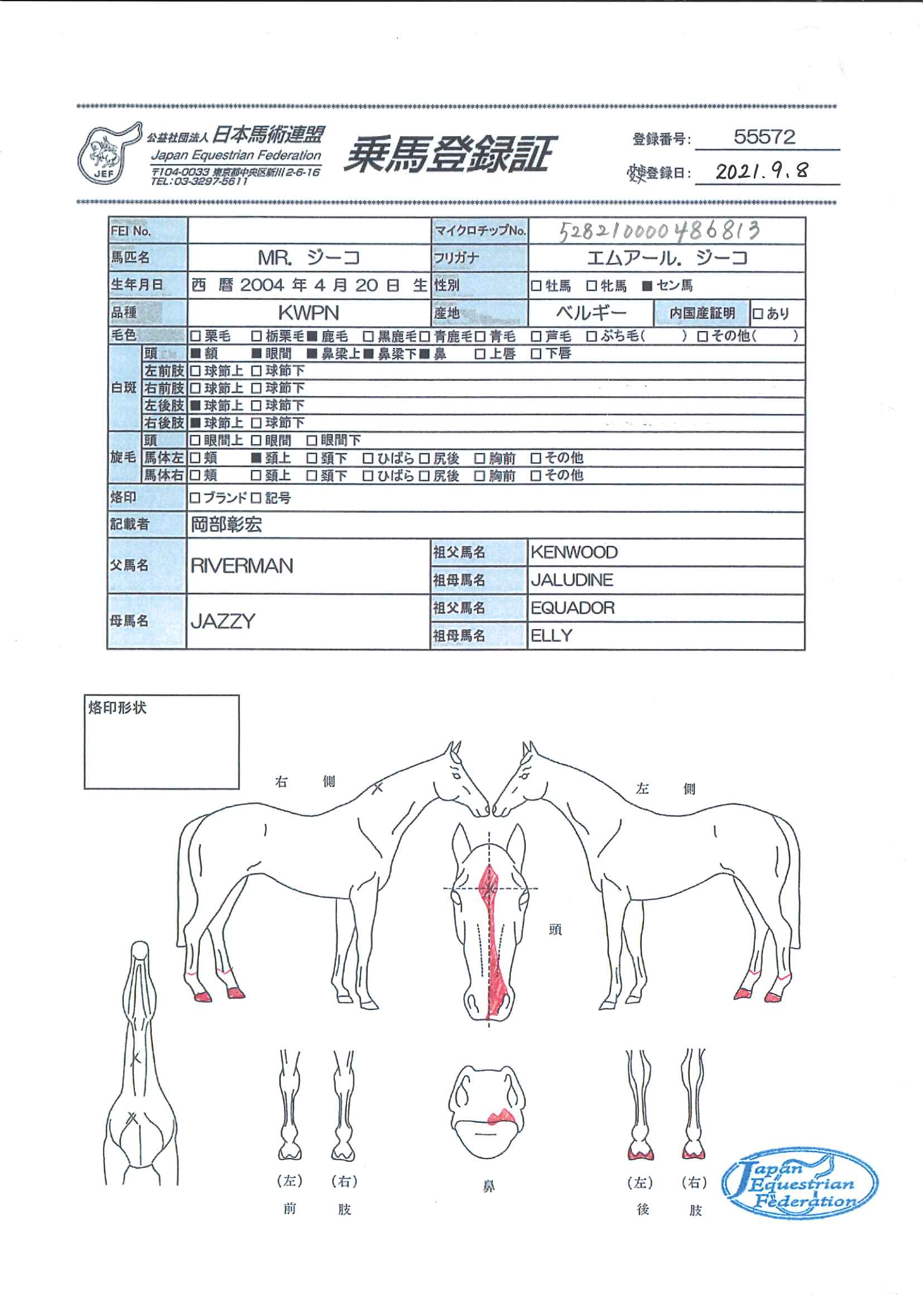 乗馬登録証