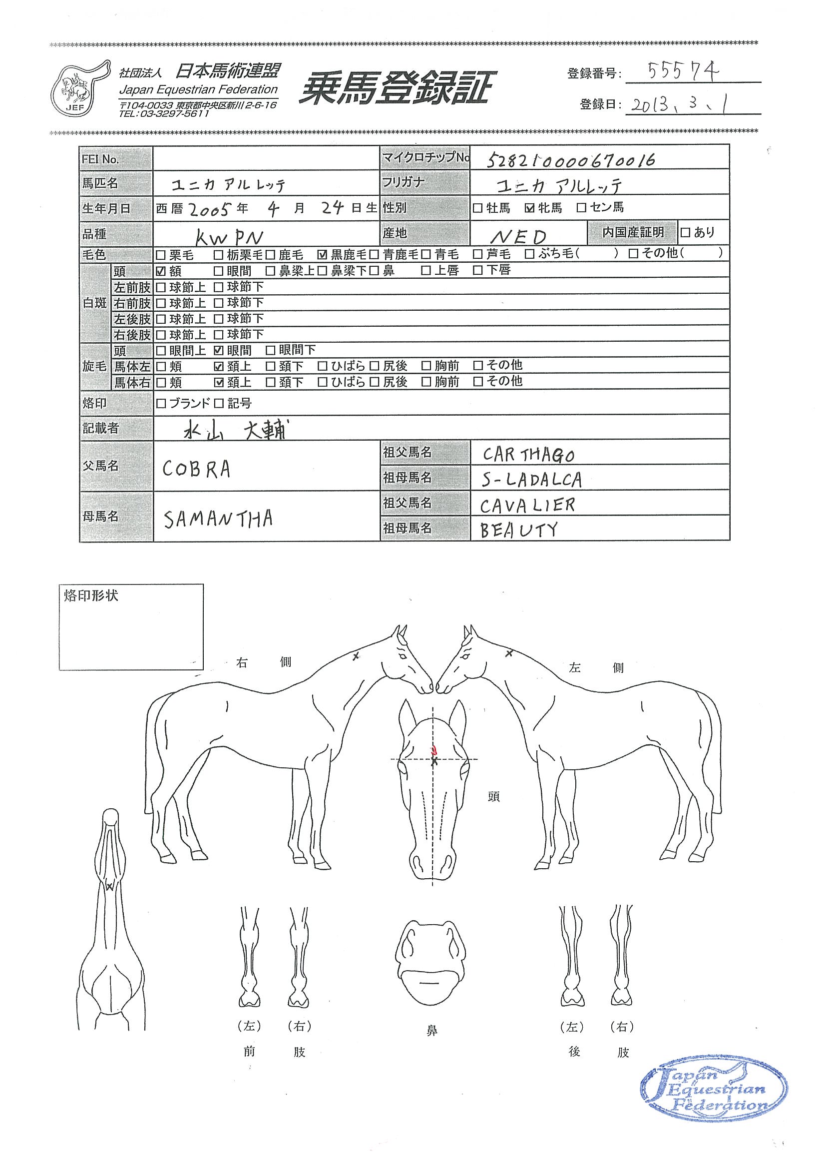 乗馬登録証