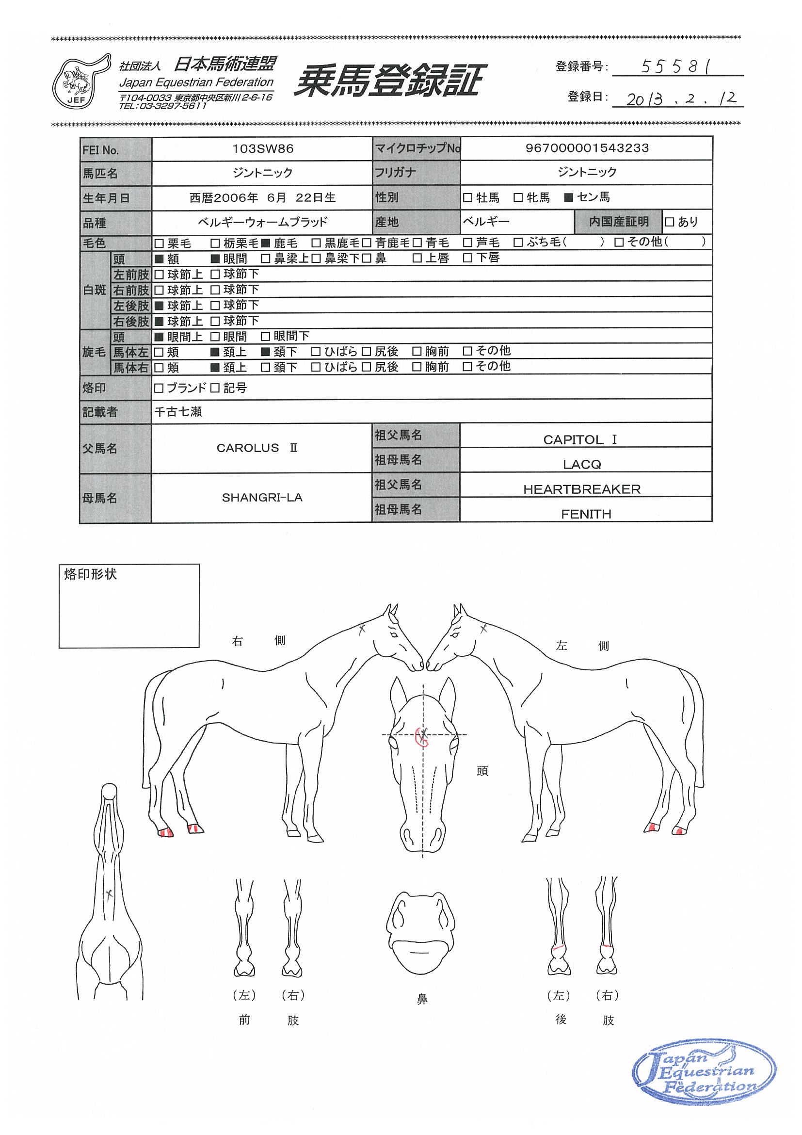乗馬登録証