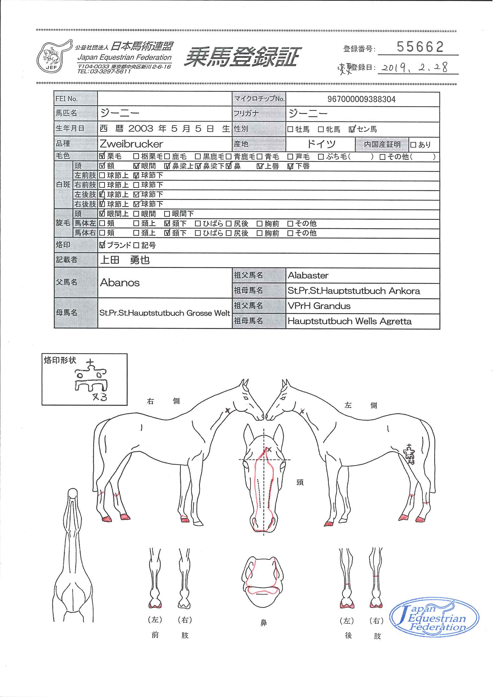 乗馬登録証