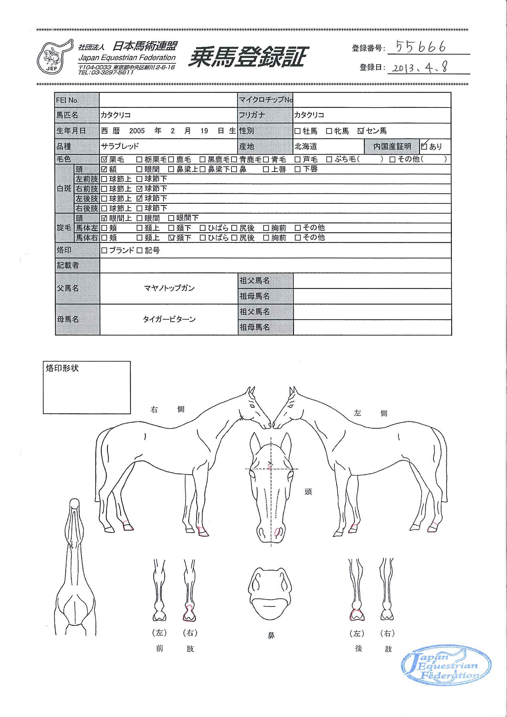 乗馬登録証