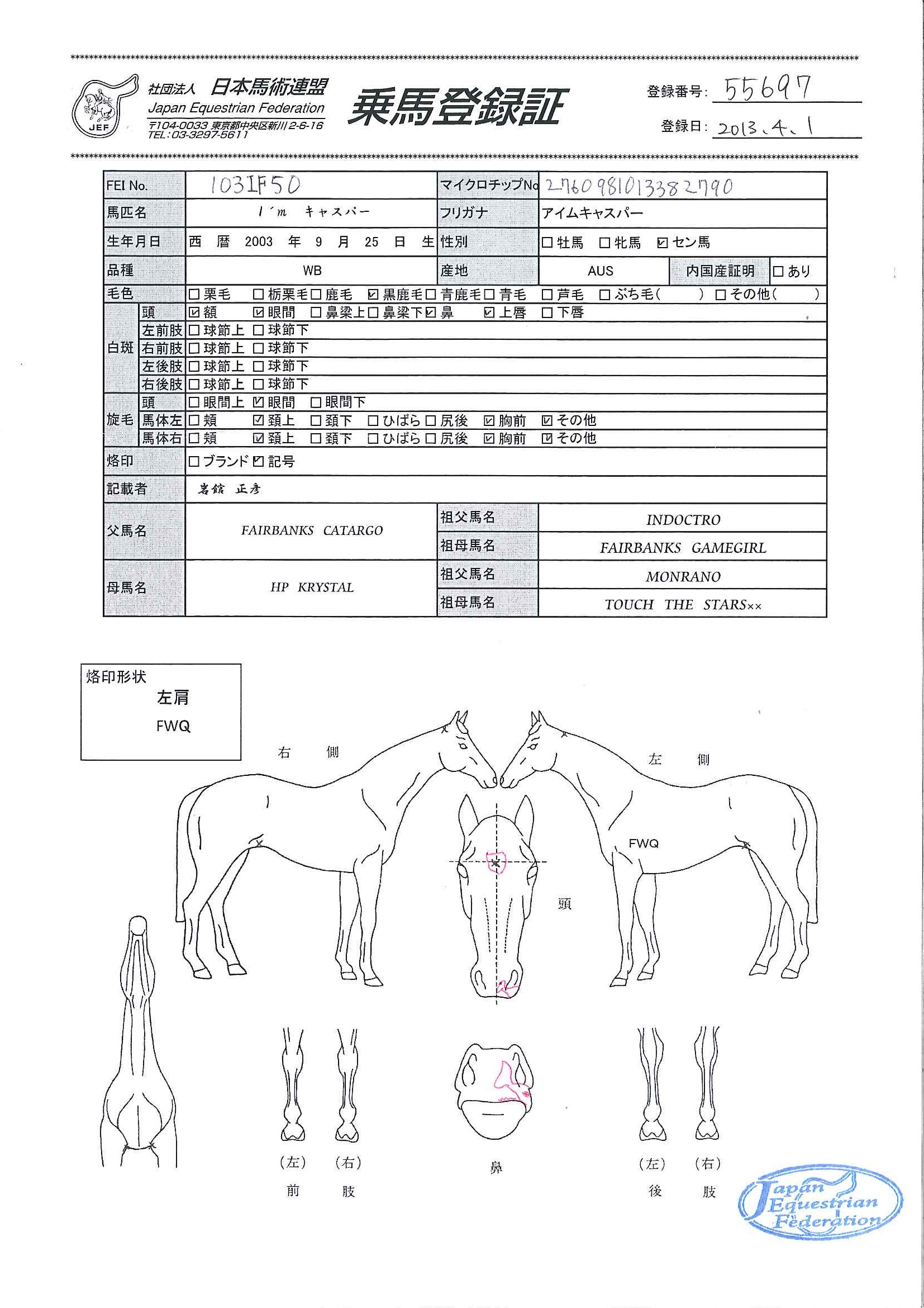 乗馬登録証