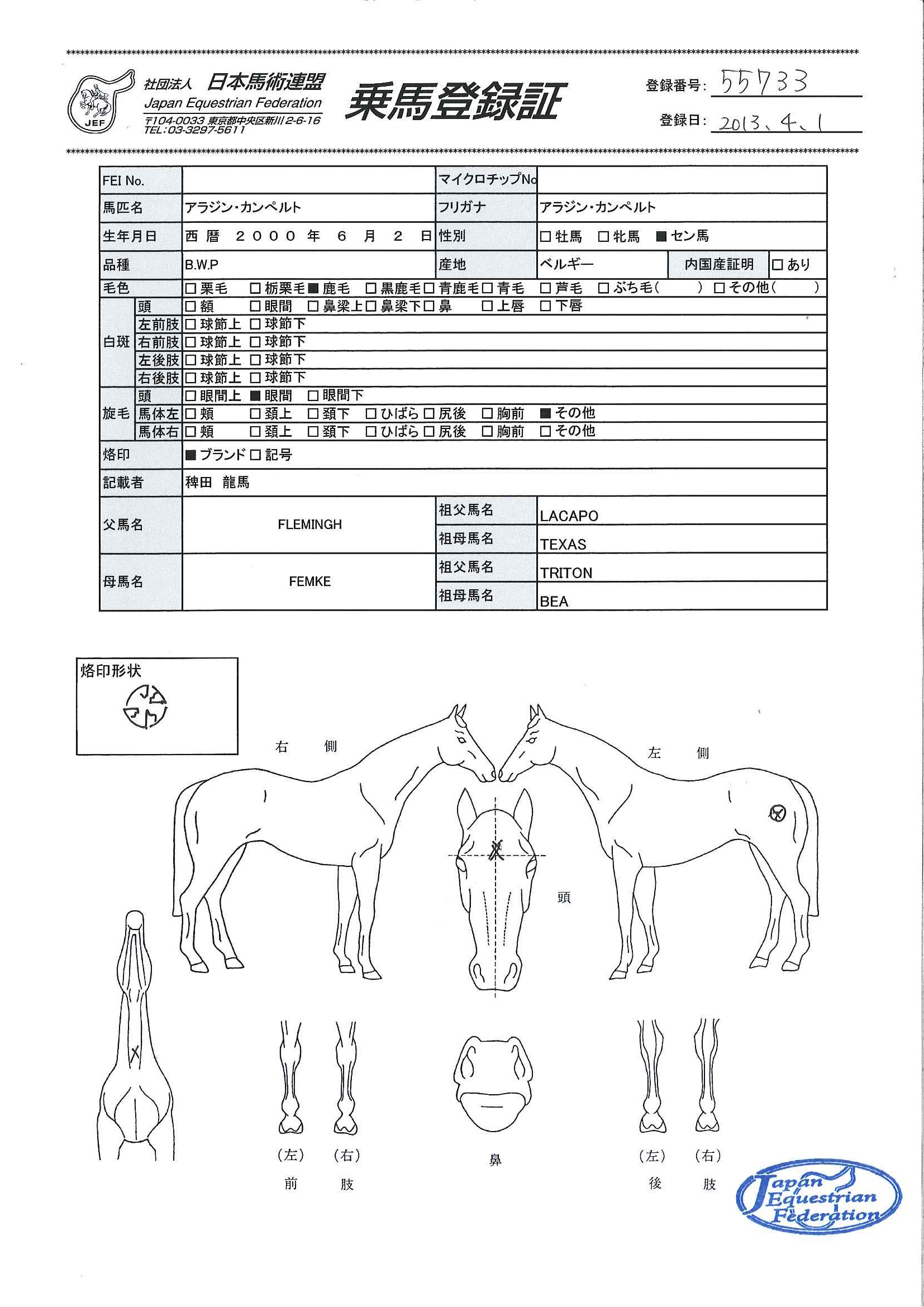 乗馬登録証