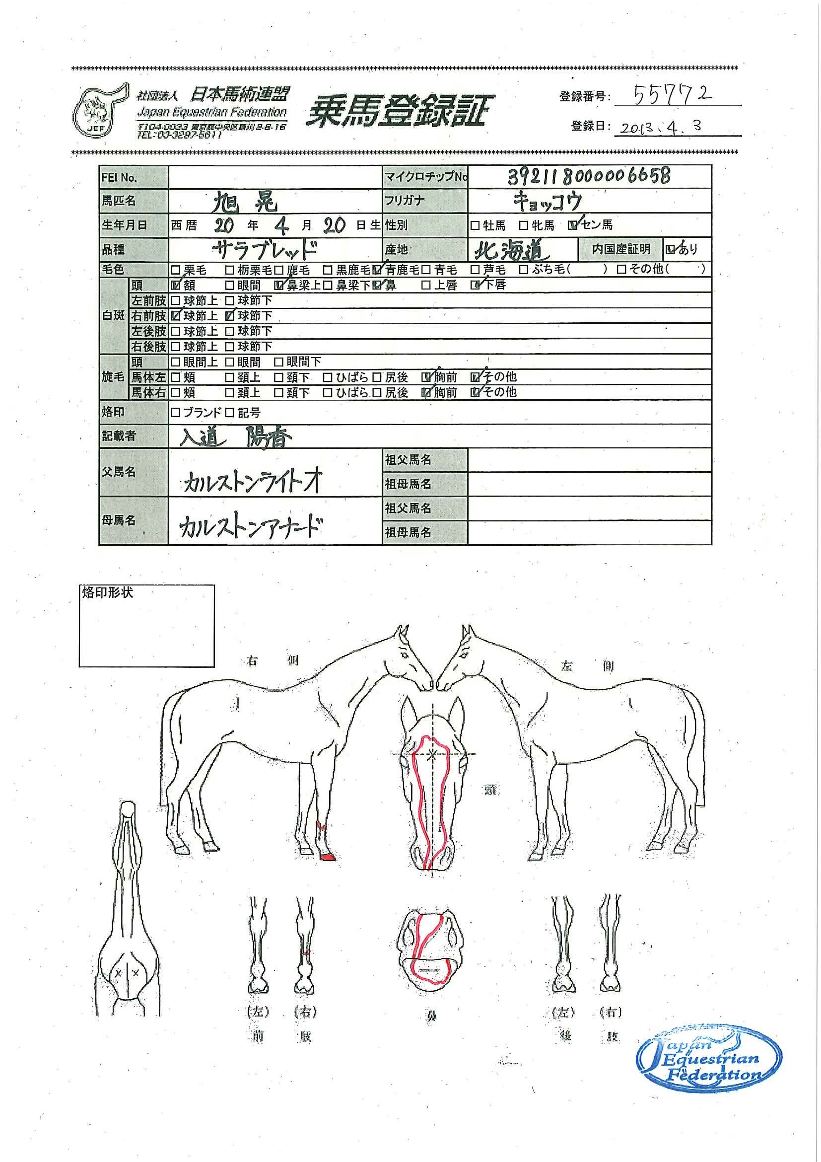 乗馬登録証